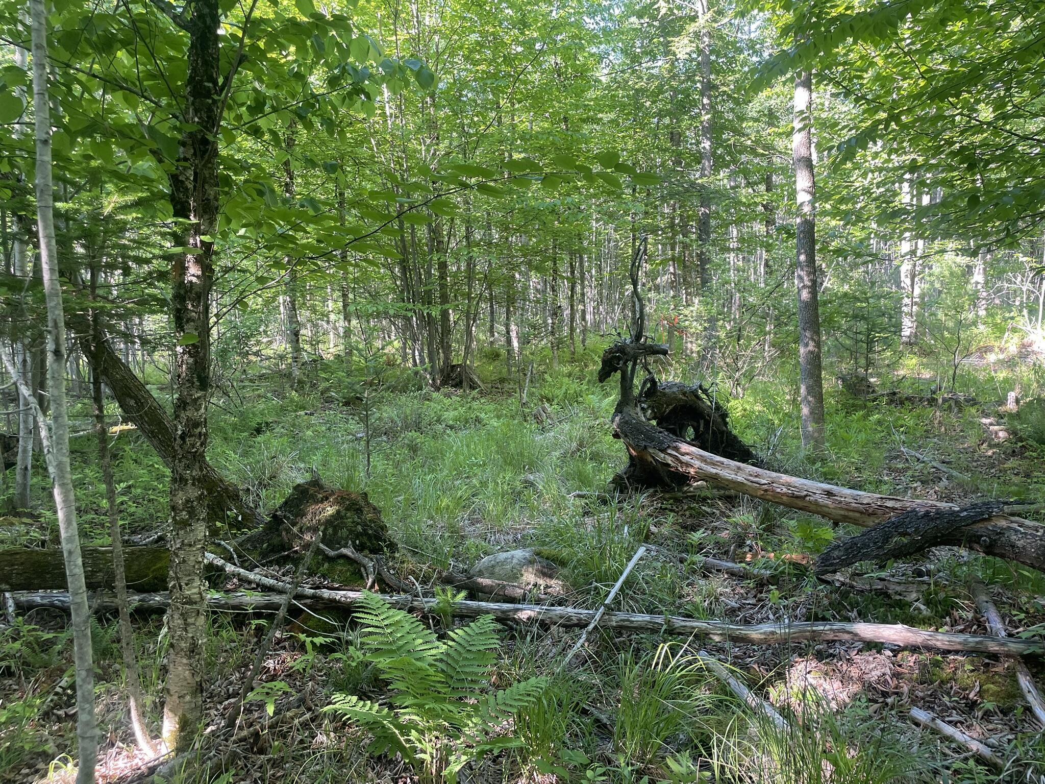 0 Macomber Road Property Photo 36