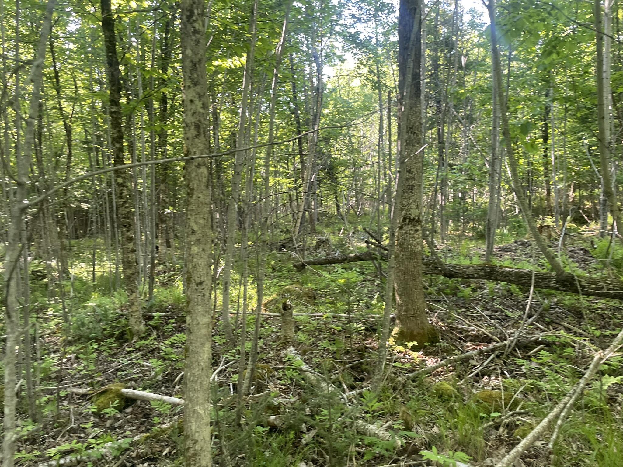 0 Macomber Road Property Photo 39