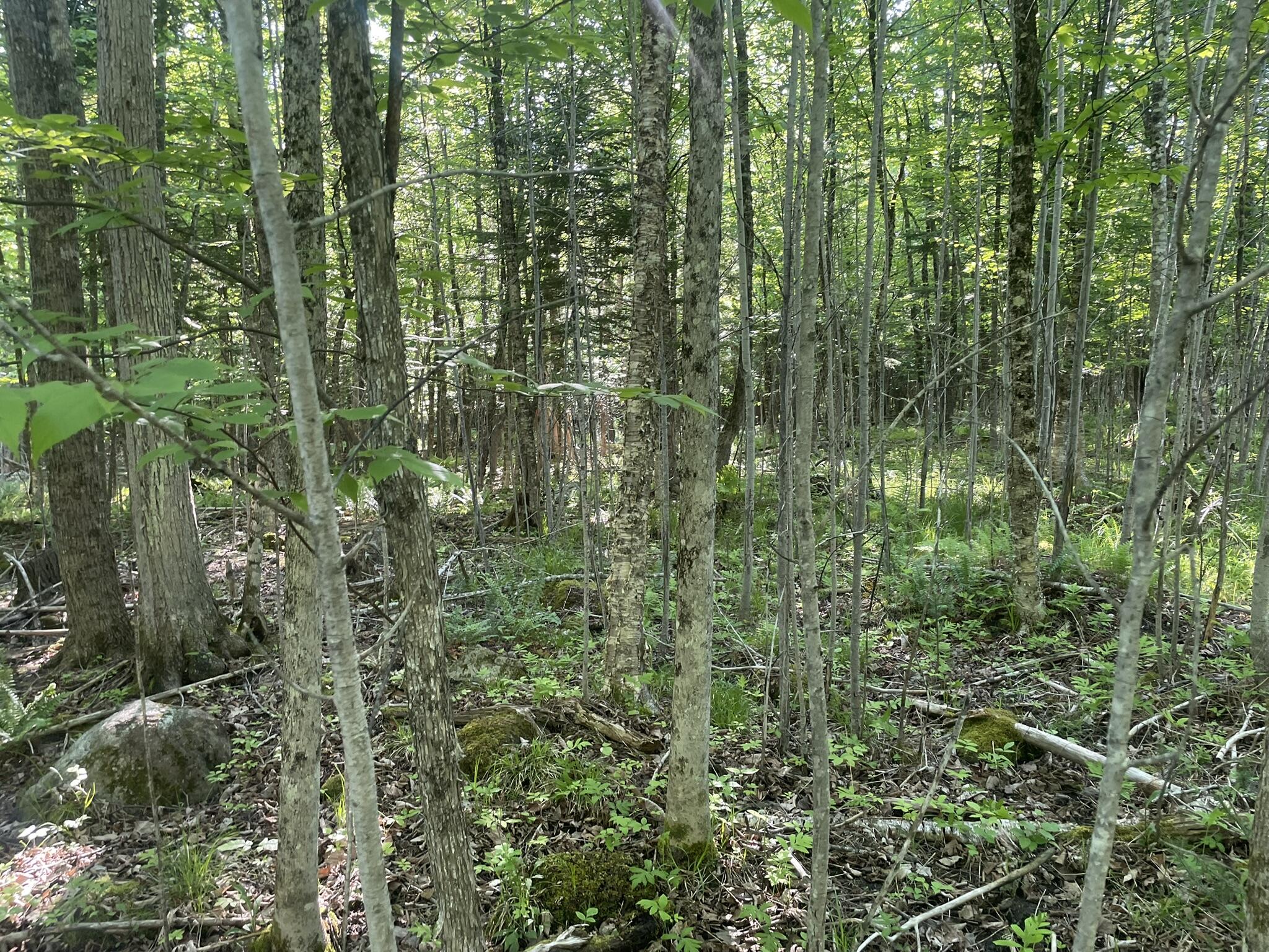 0 Macomber Road Property Photo 40