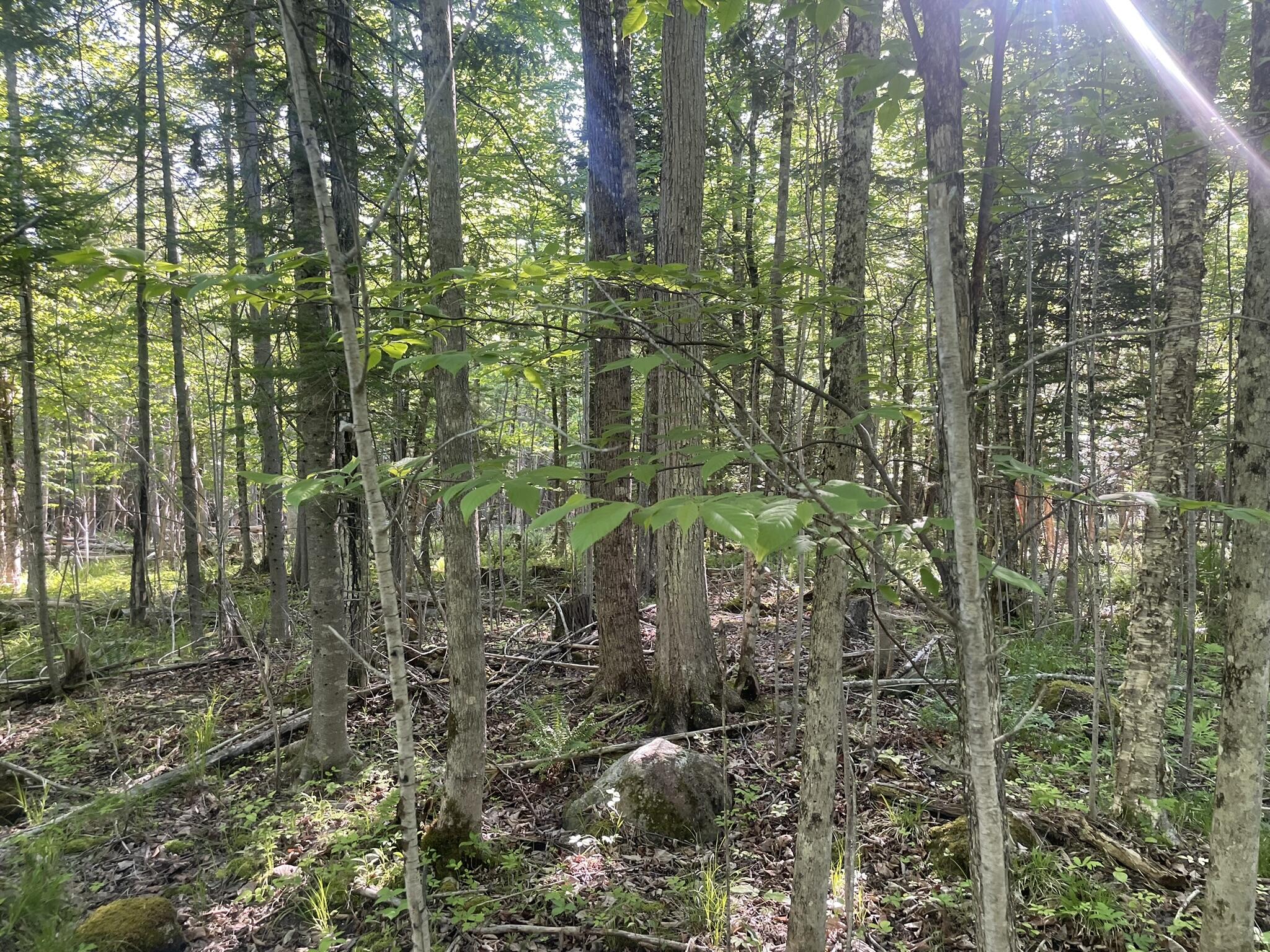 0 Macomber Road Property Photo 42