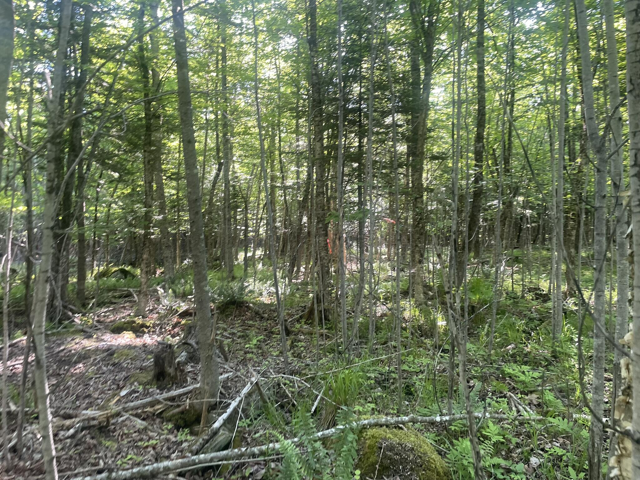 0 Macomber Road Property Photo 45