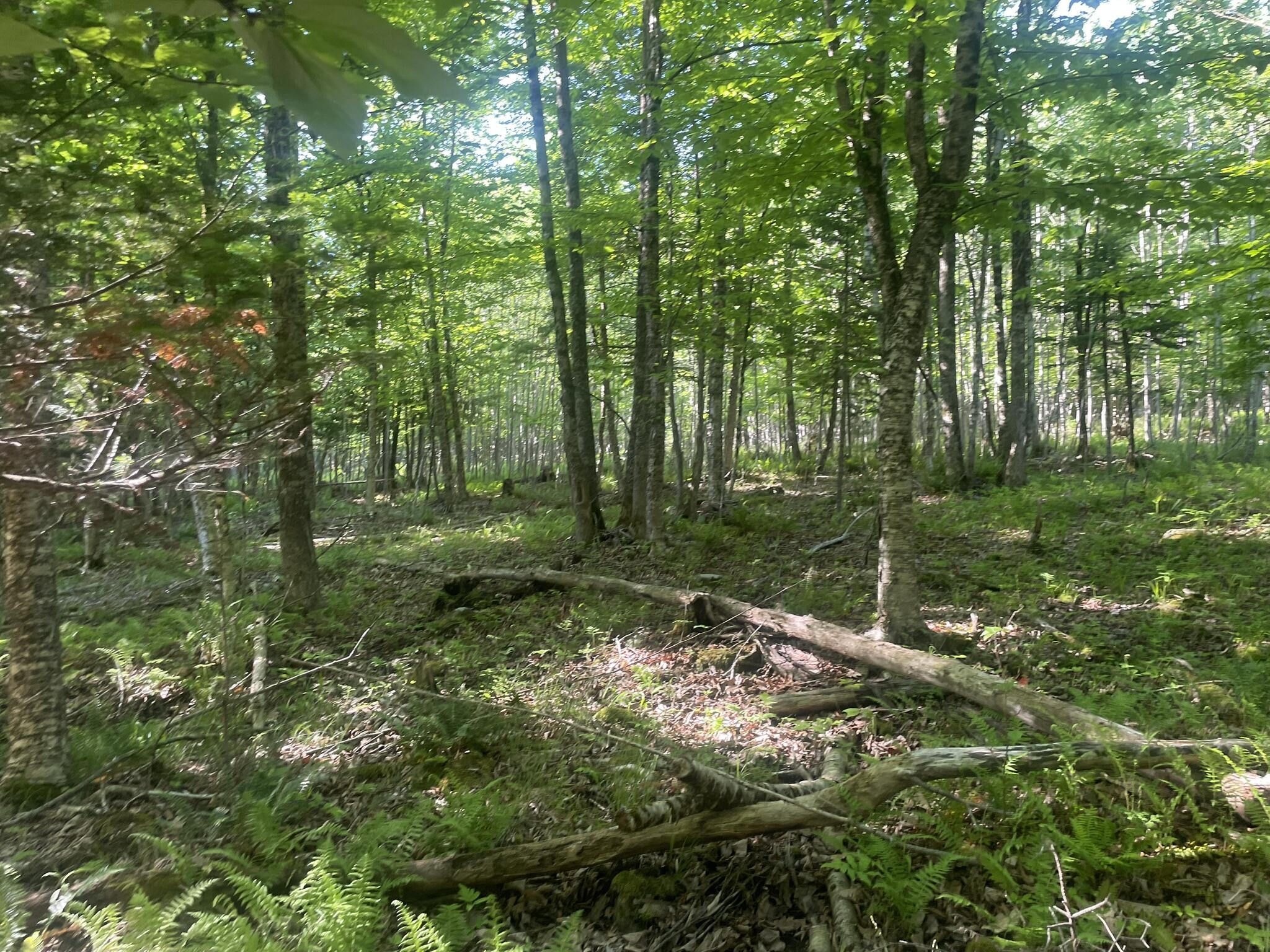 0 Macomber Road Property Photo 48