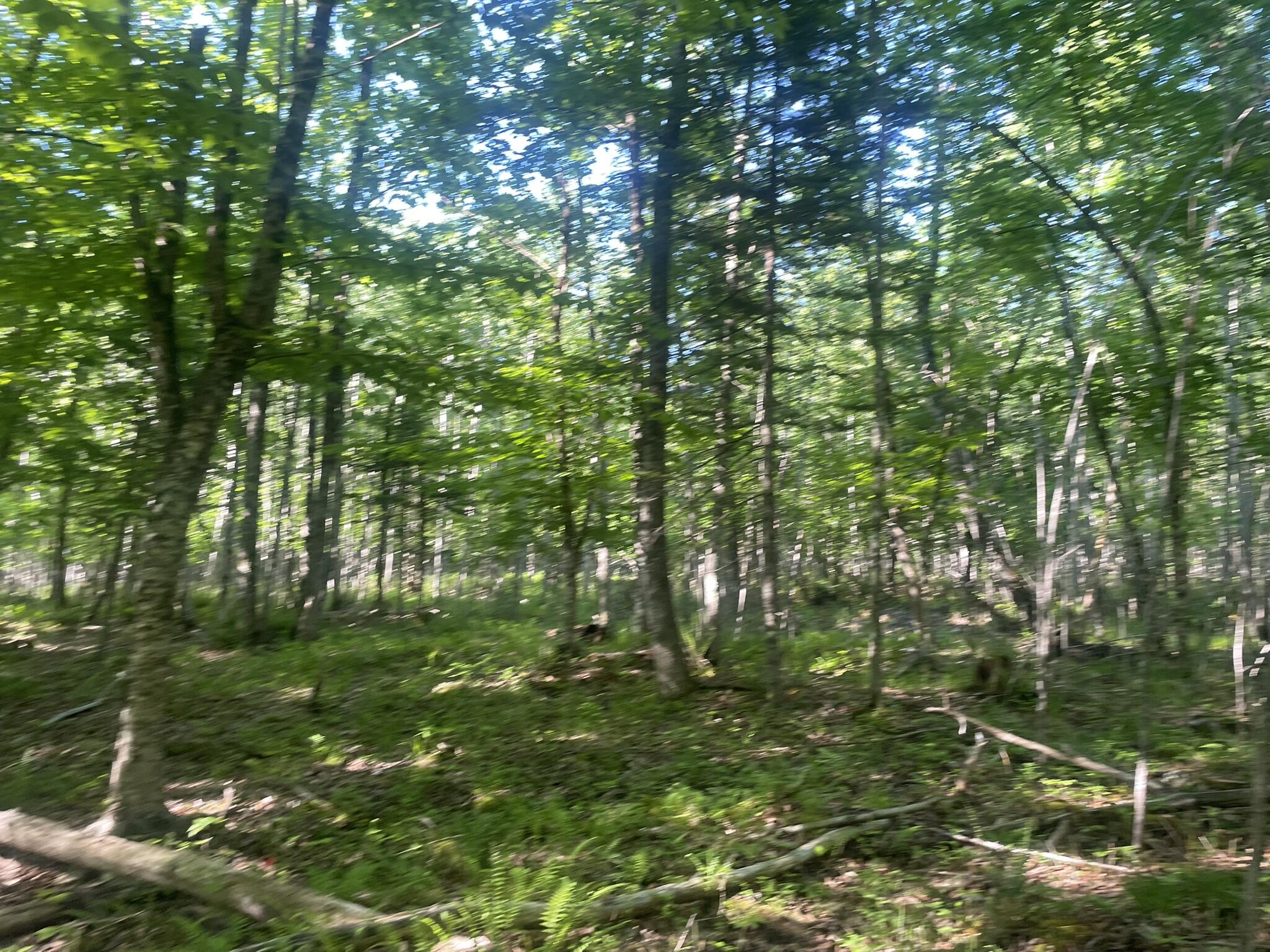0 Macomber Road Property Photo 49