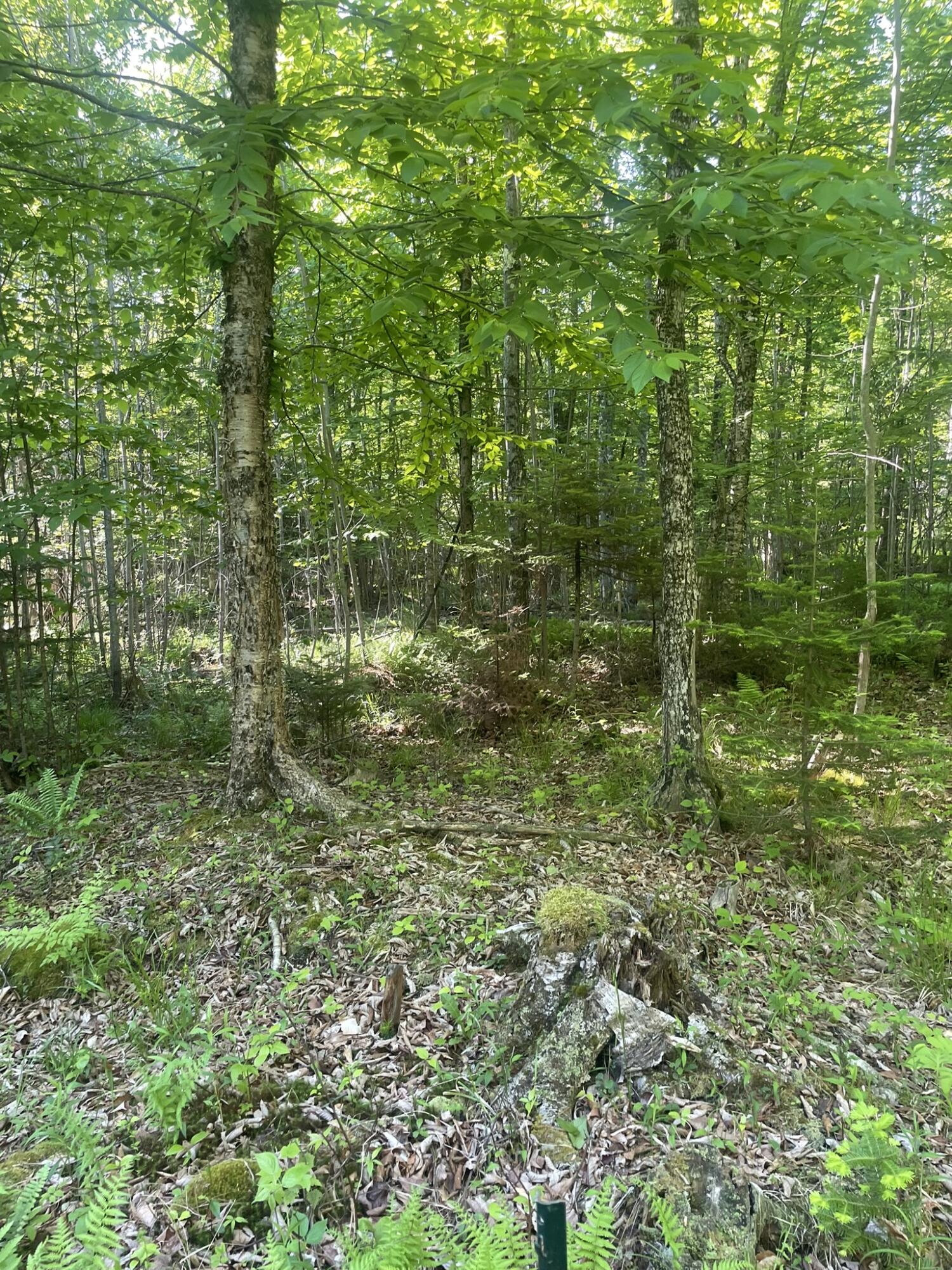 0 Macomber Road Property Photo 57