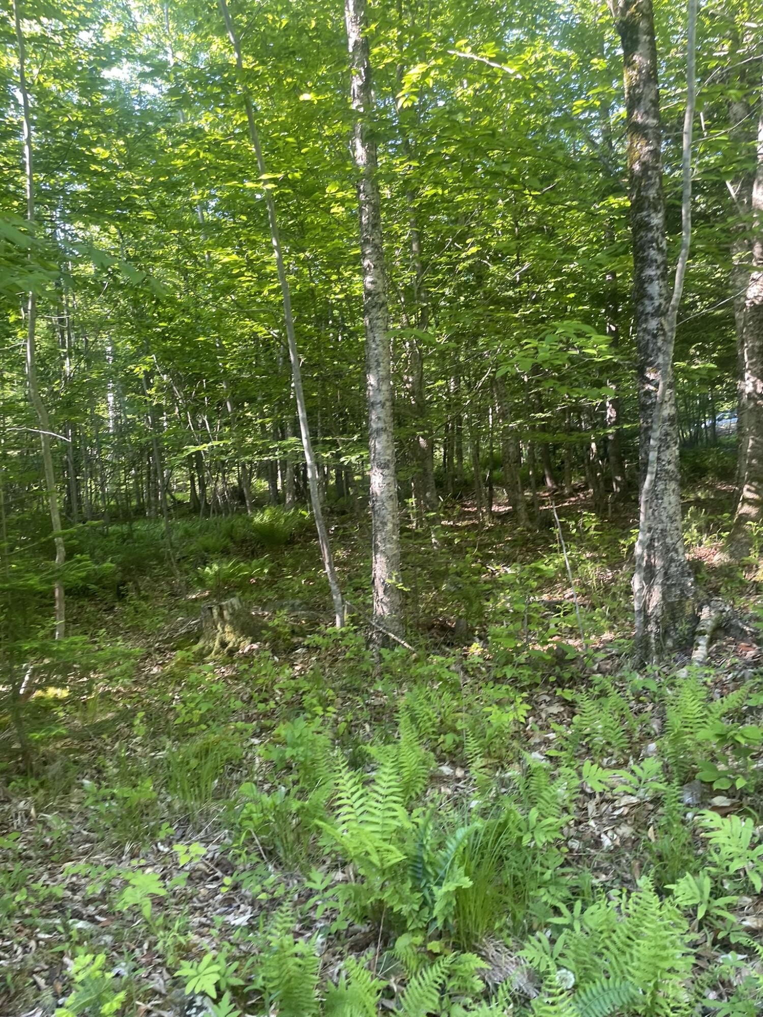 0 Macomber Road Property Photo 58