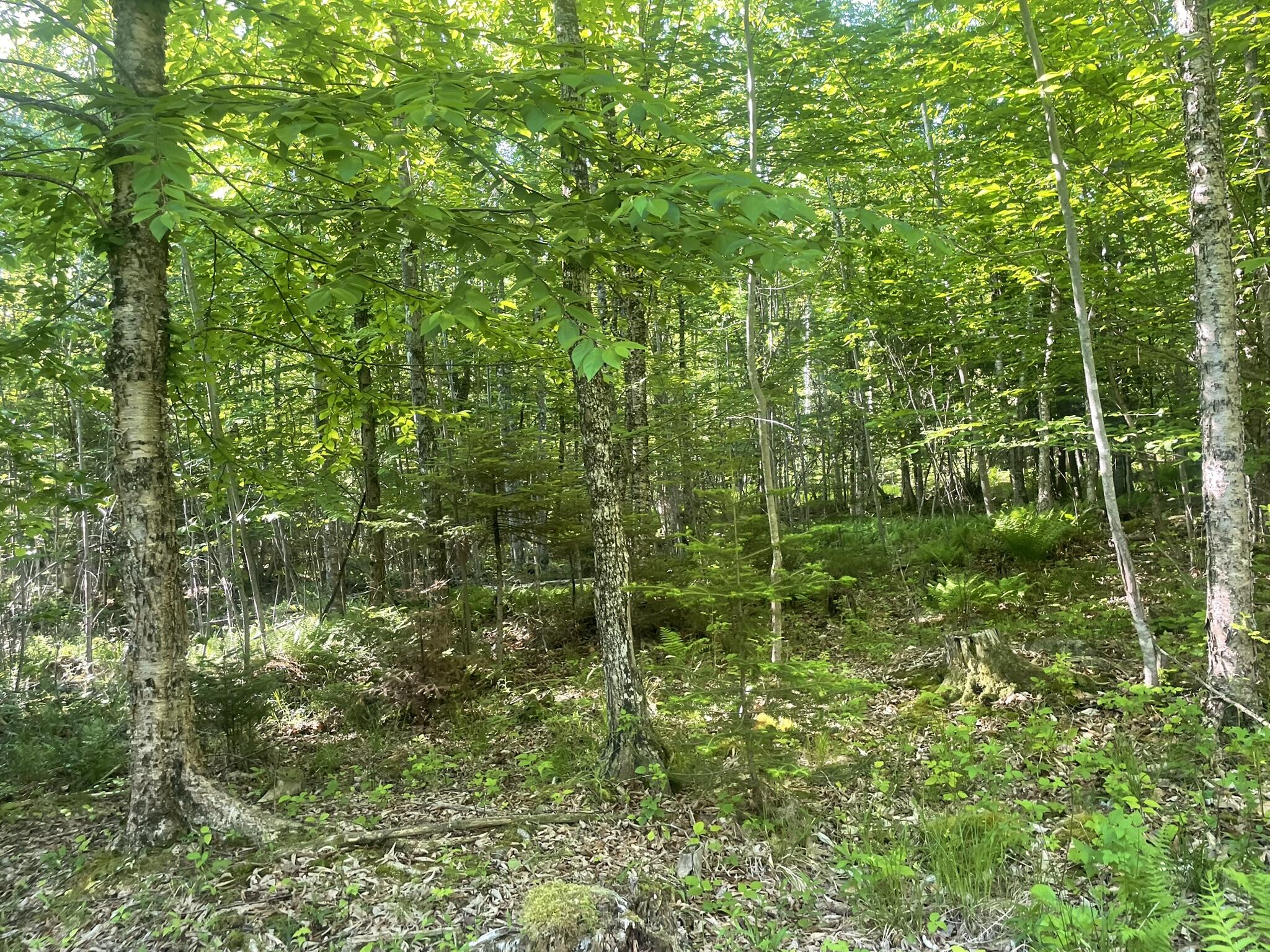 0 Macomber Road Property Photo 59