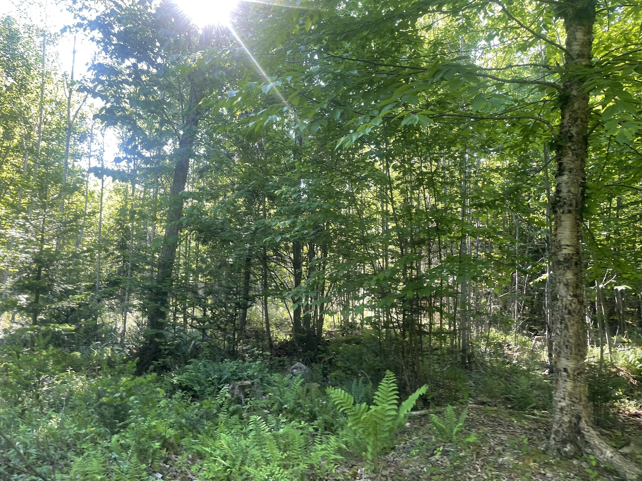 0 Macomber Road Property Photo 60