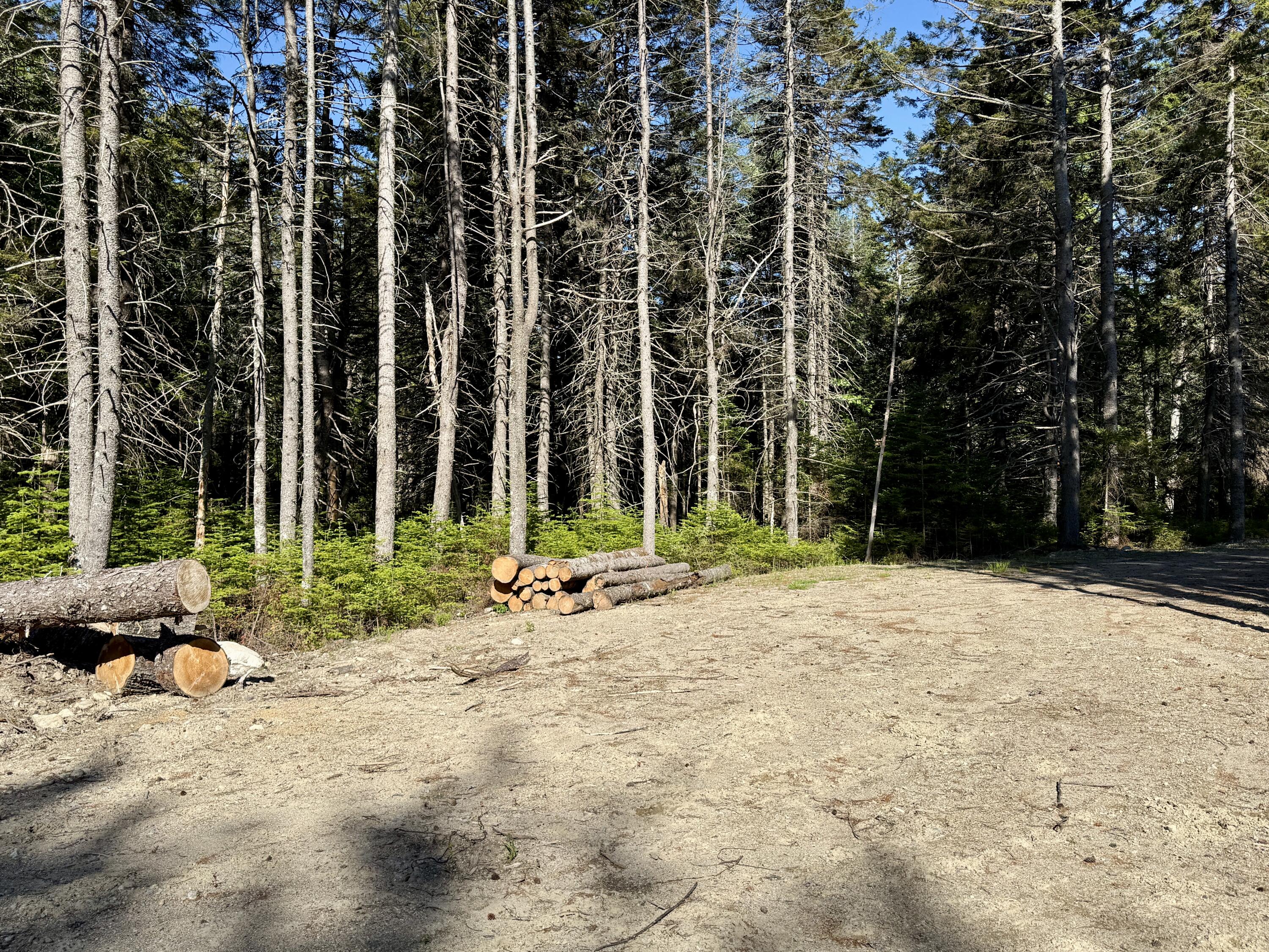 93 Goods Point Road Lot #2 Property Photo 6