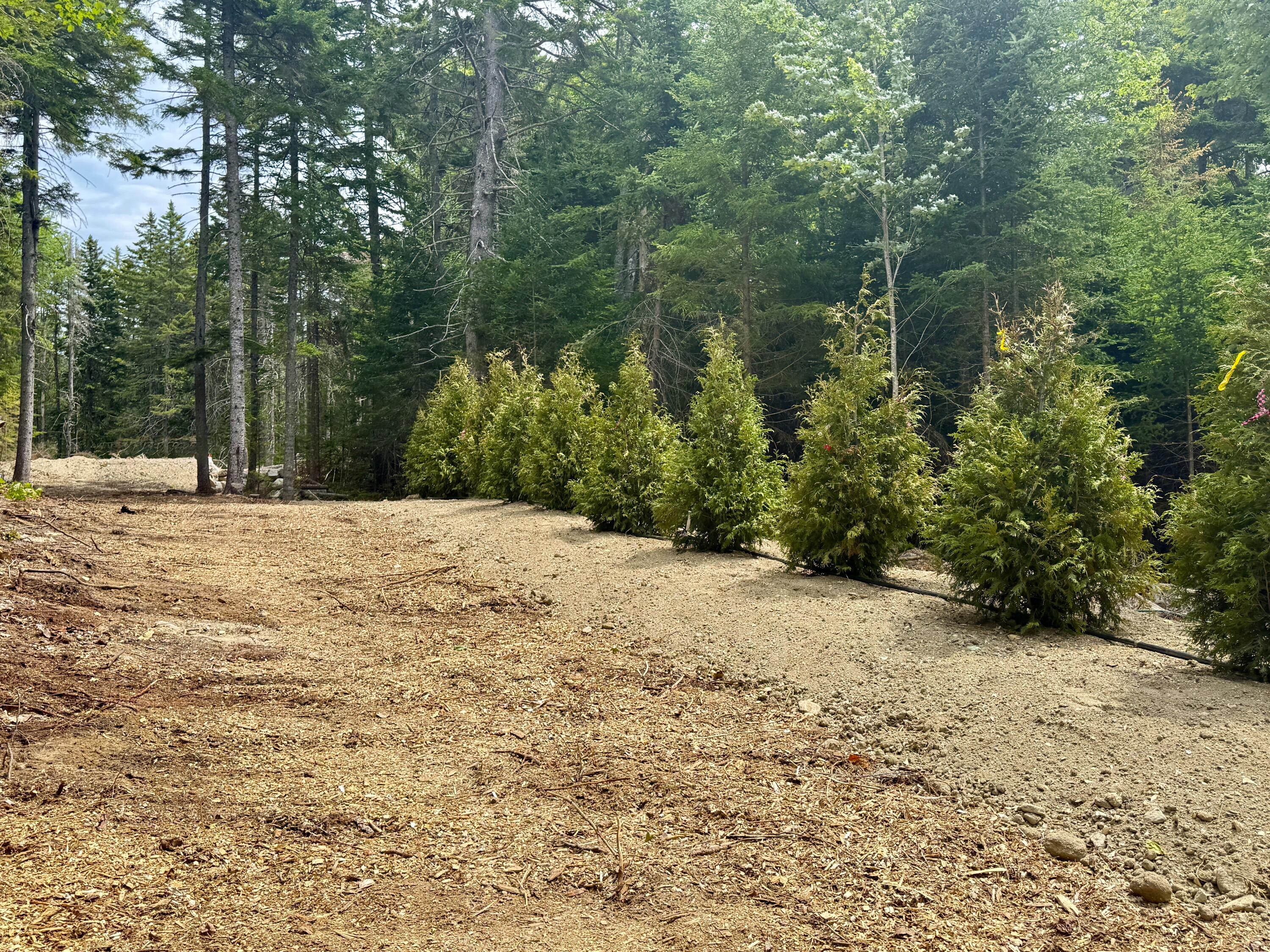 93 Goods Point Road Lot #2 Property Photo 12