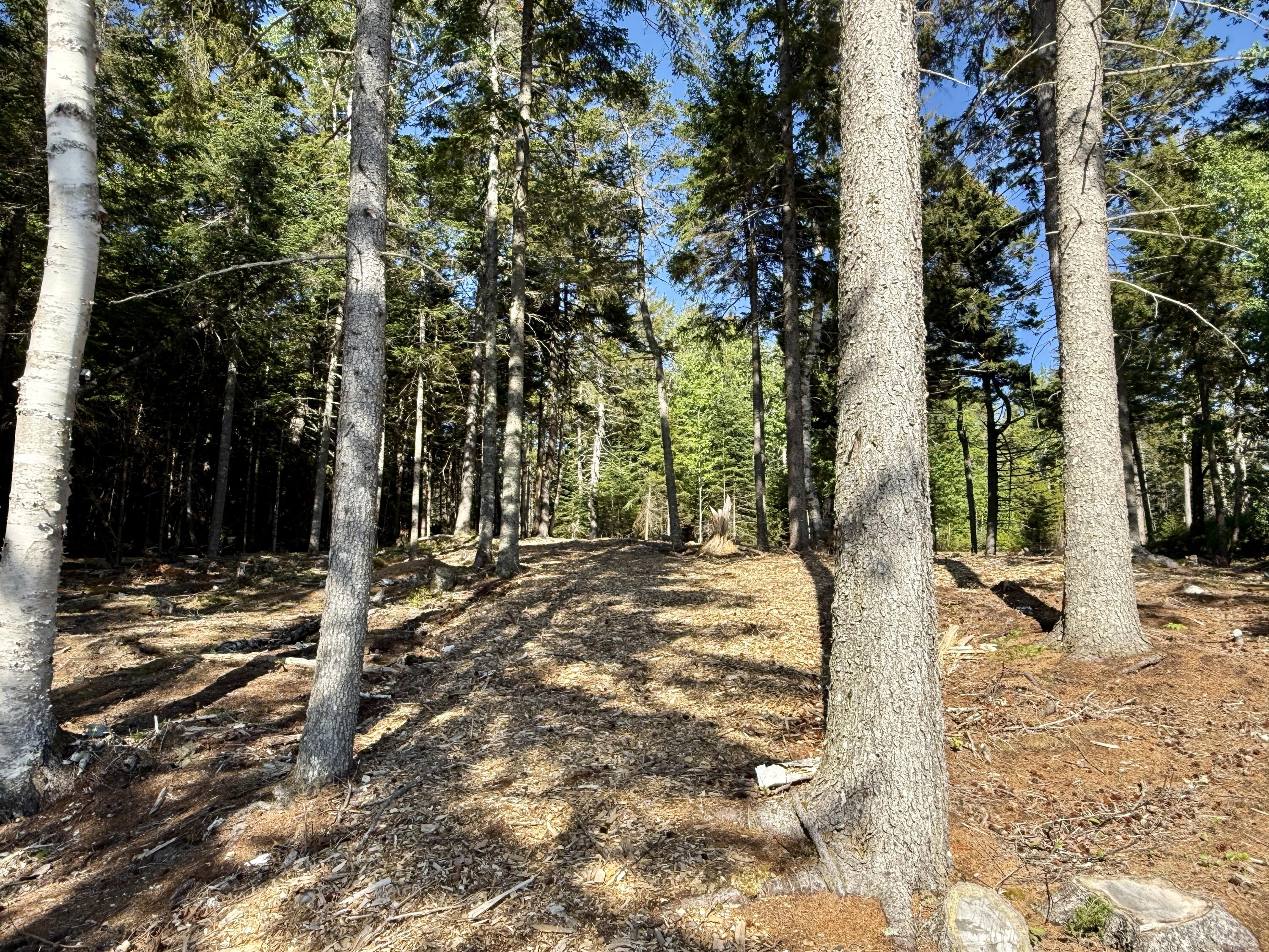 93 Goods Point Road Lot #2 Property Photo 16