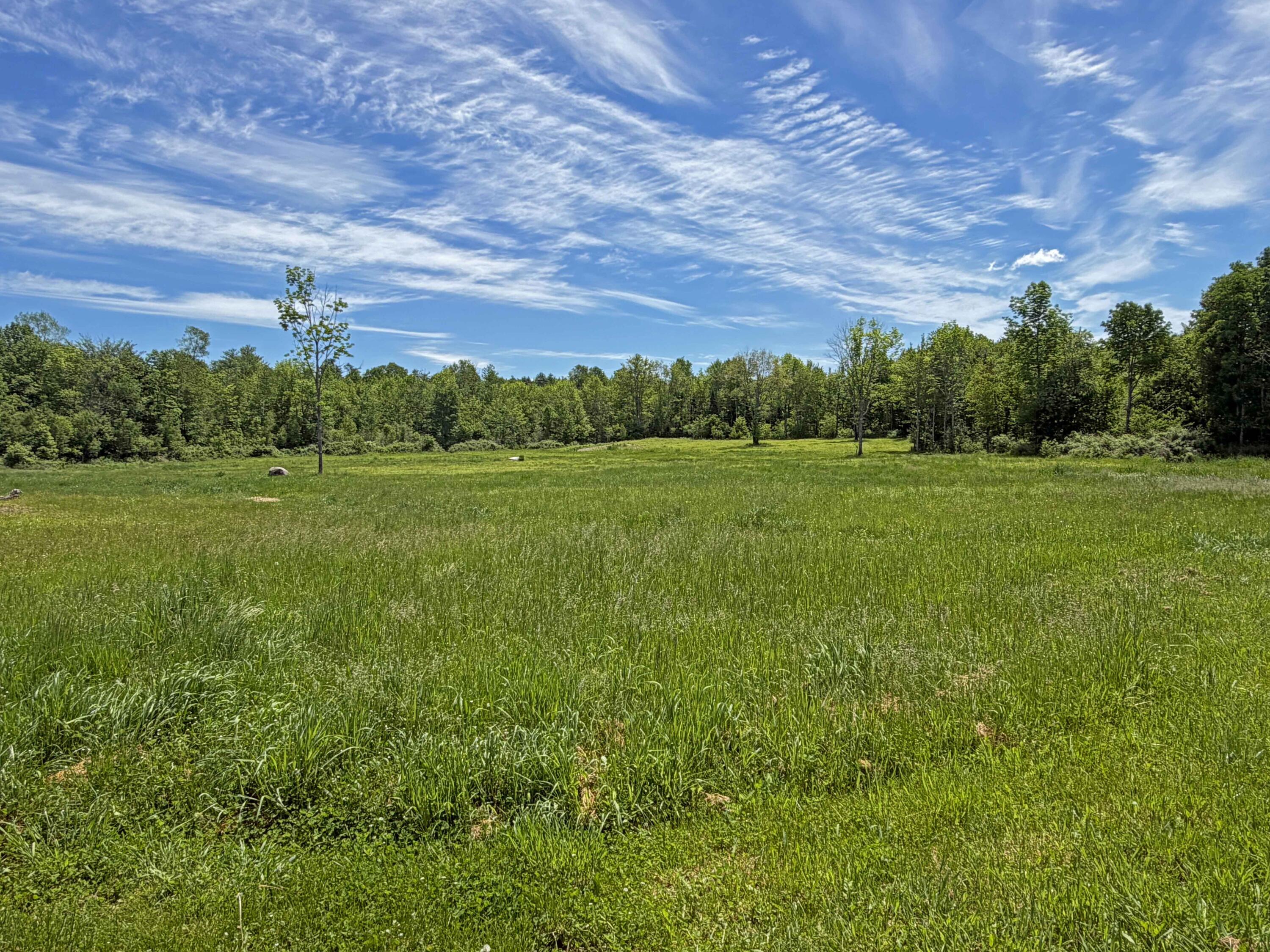 1381 Merchant Road Property Photo 42