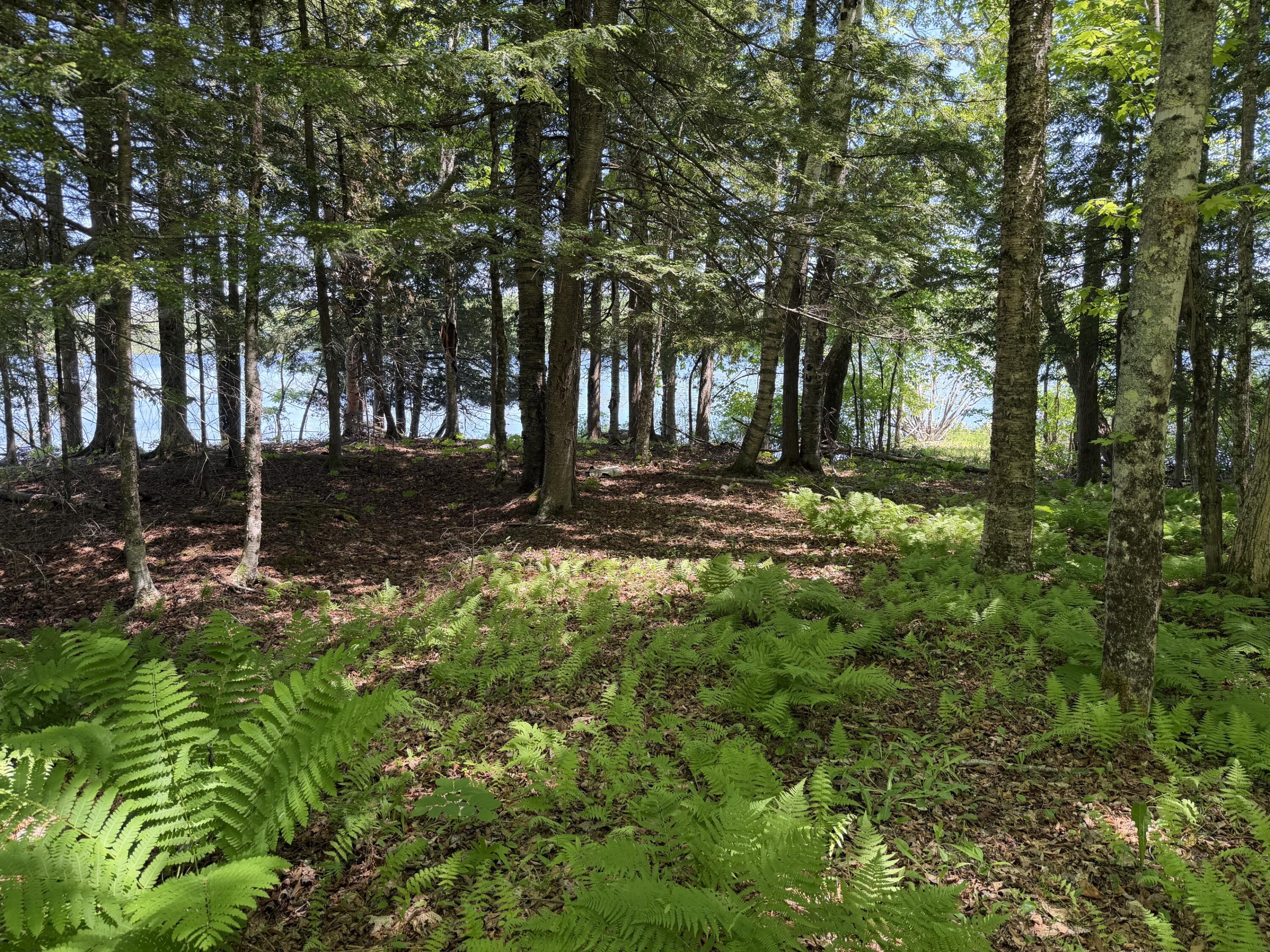 Map 21 Lot 11 Bear Lane Property Photo 2