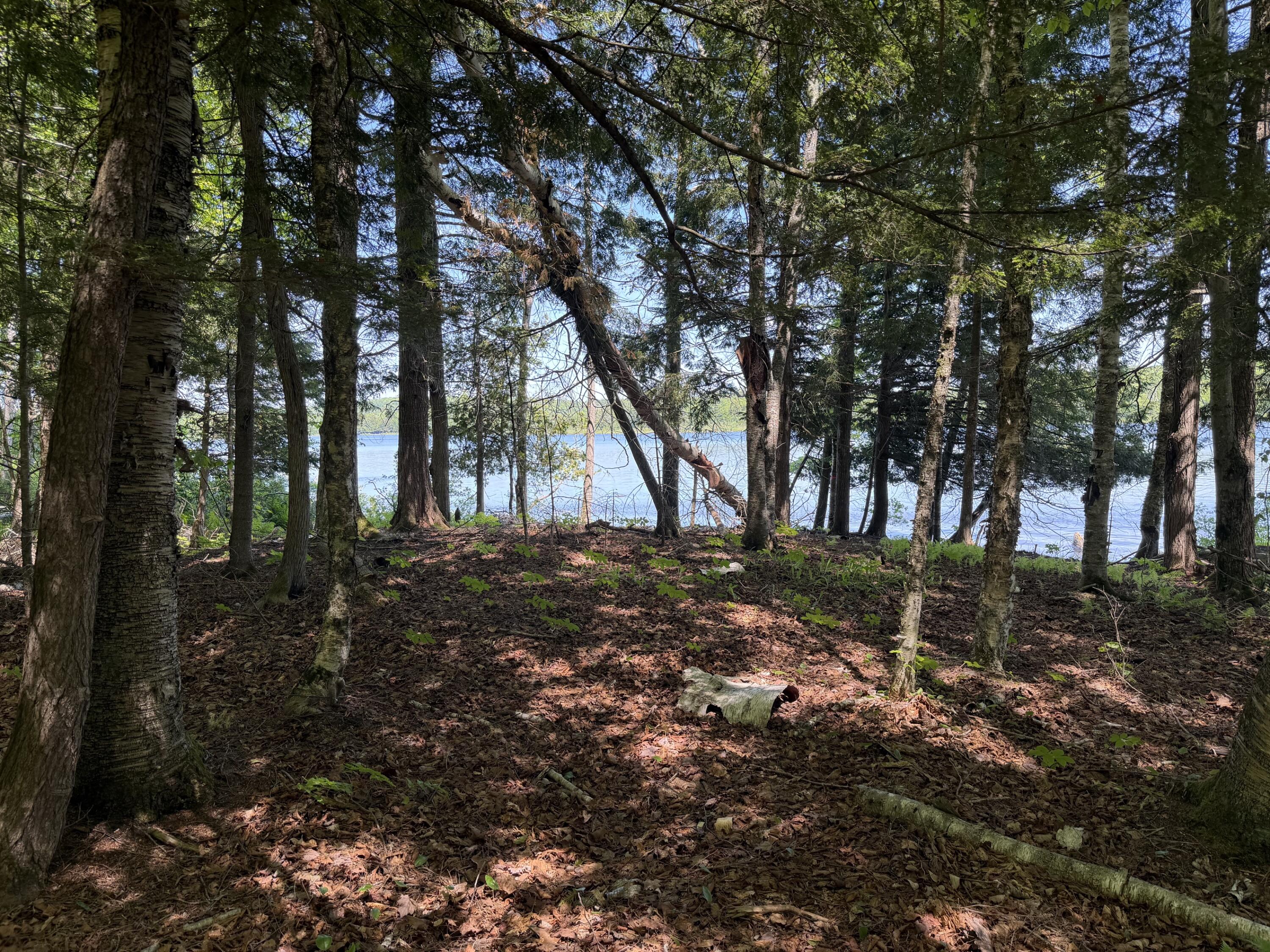 Map 21 Lot 11 Bear Lane Property Photo 7