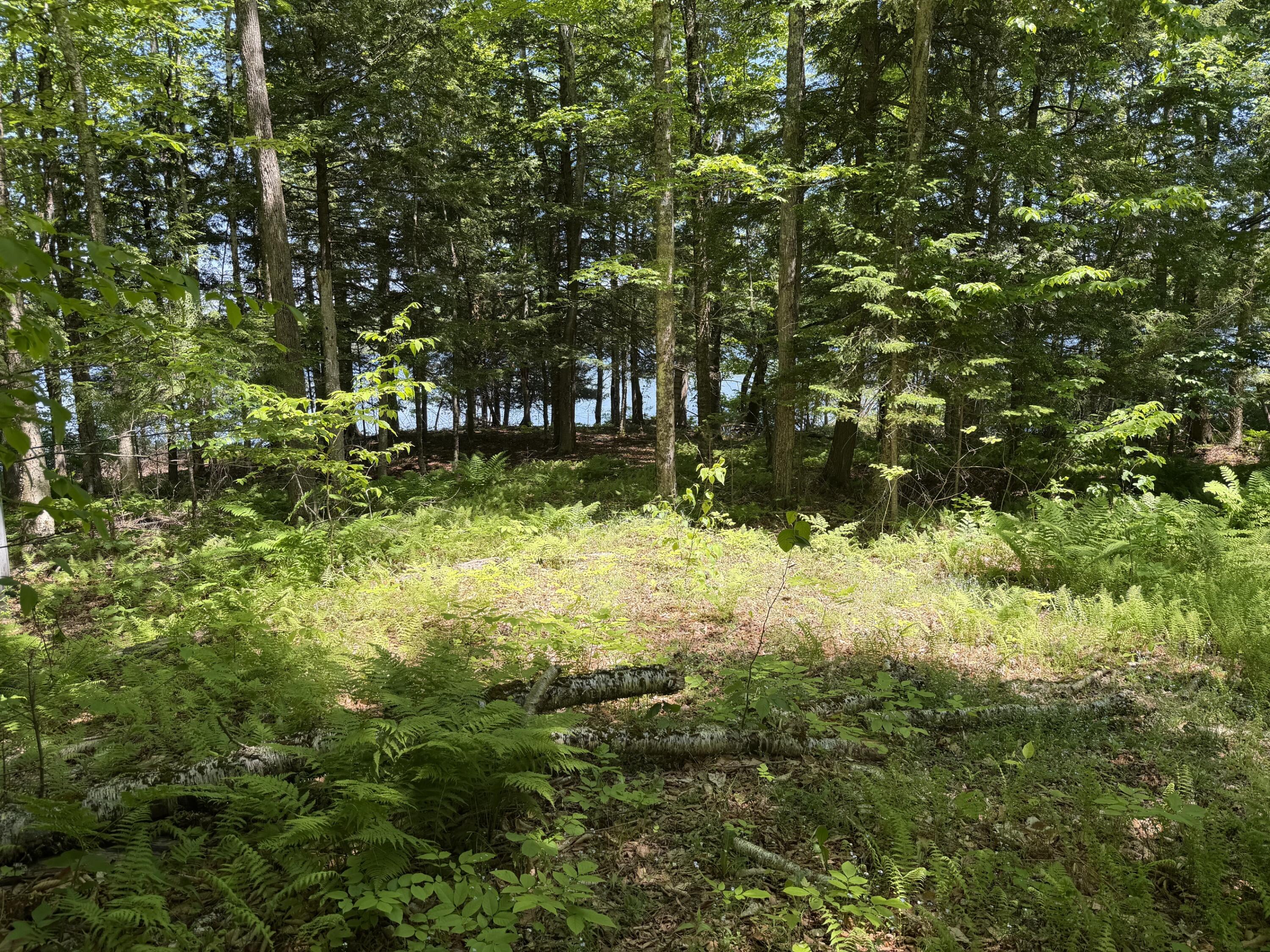 Map 21 Lot 11 Bear Lane Property Photo 9