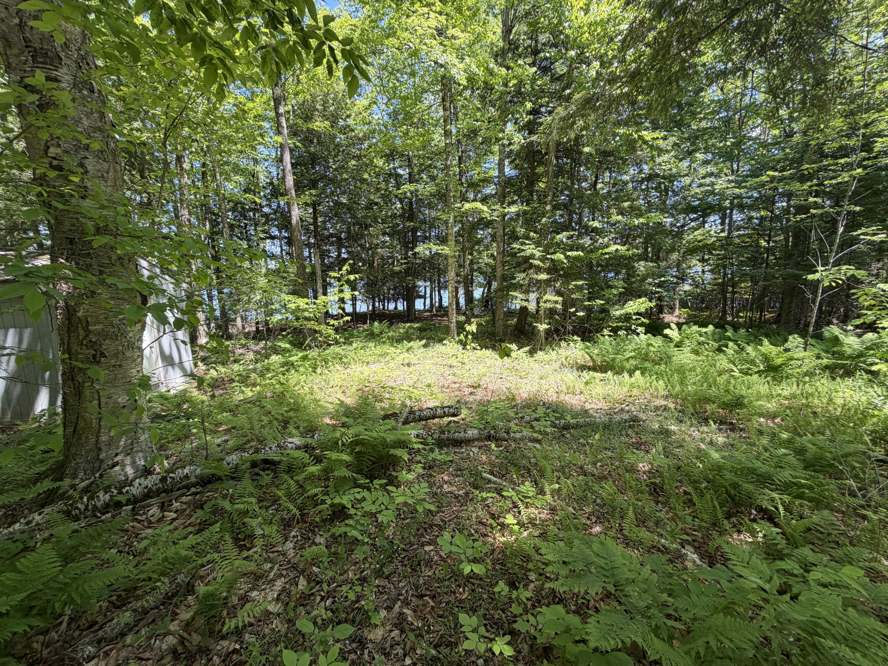 Map 21 Lot 11 Bear Lane Property Photo 10