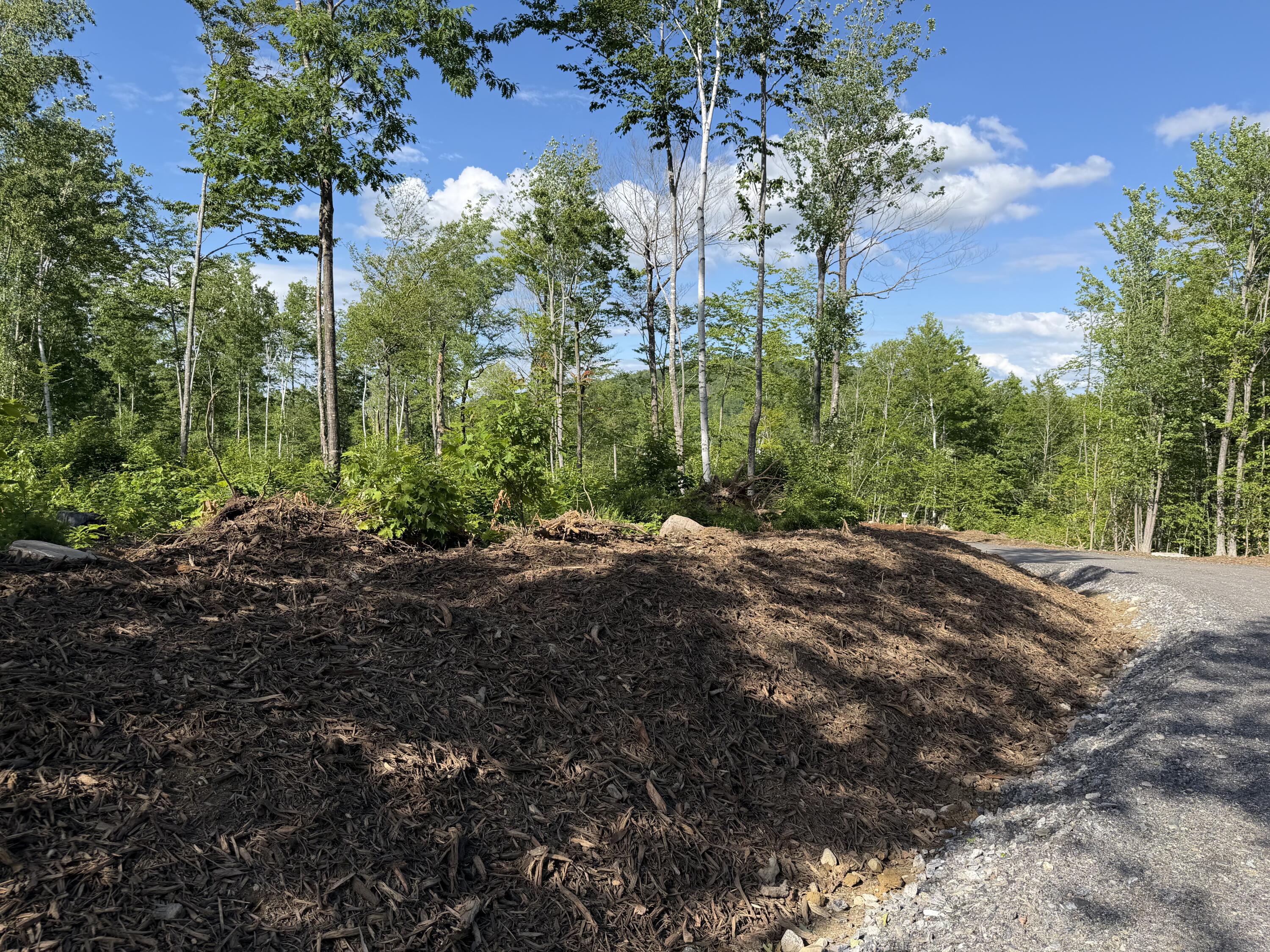 Lot 9 Casco Heights Property Photo 18