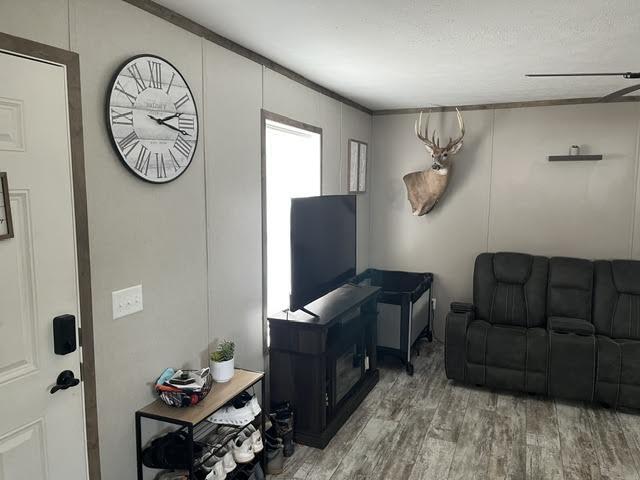 5 Sunset Drive Property Photo 8