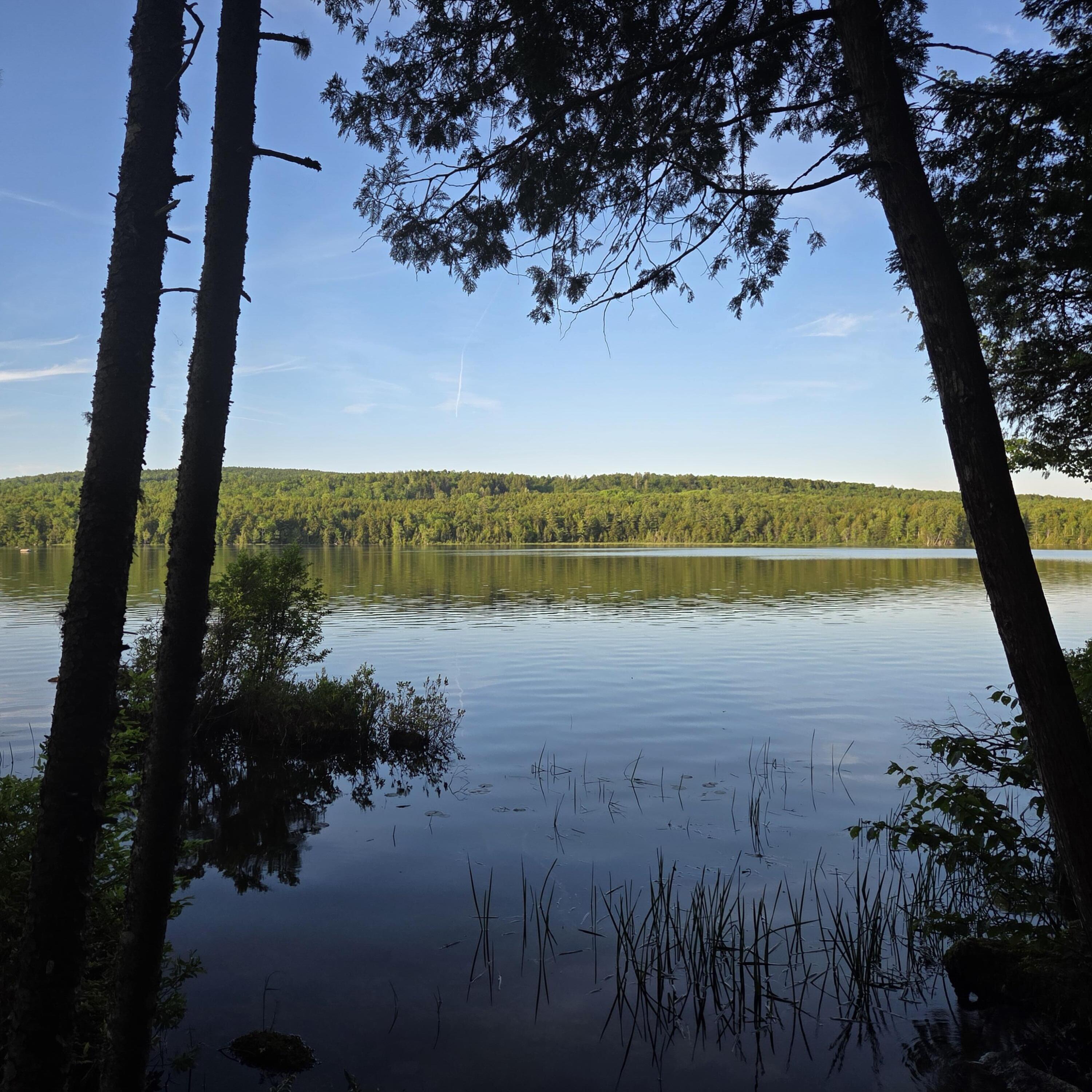 74 Eagle Ridge Road Property Photo 3