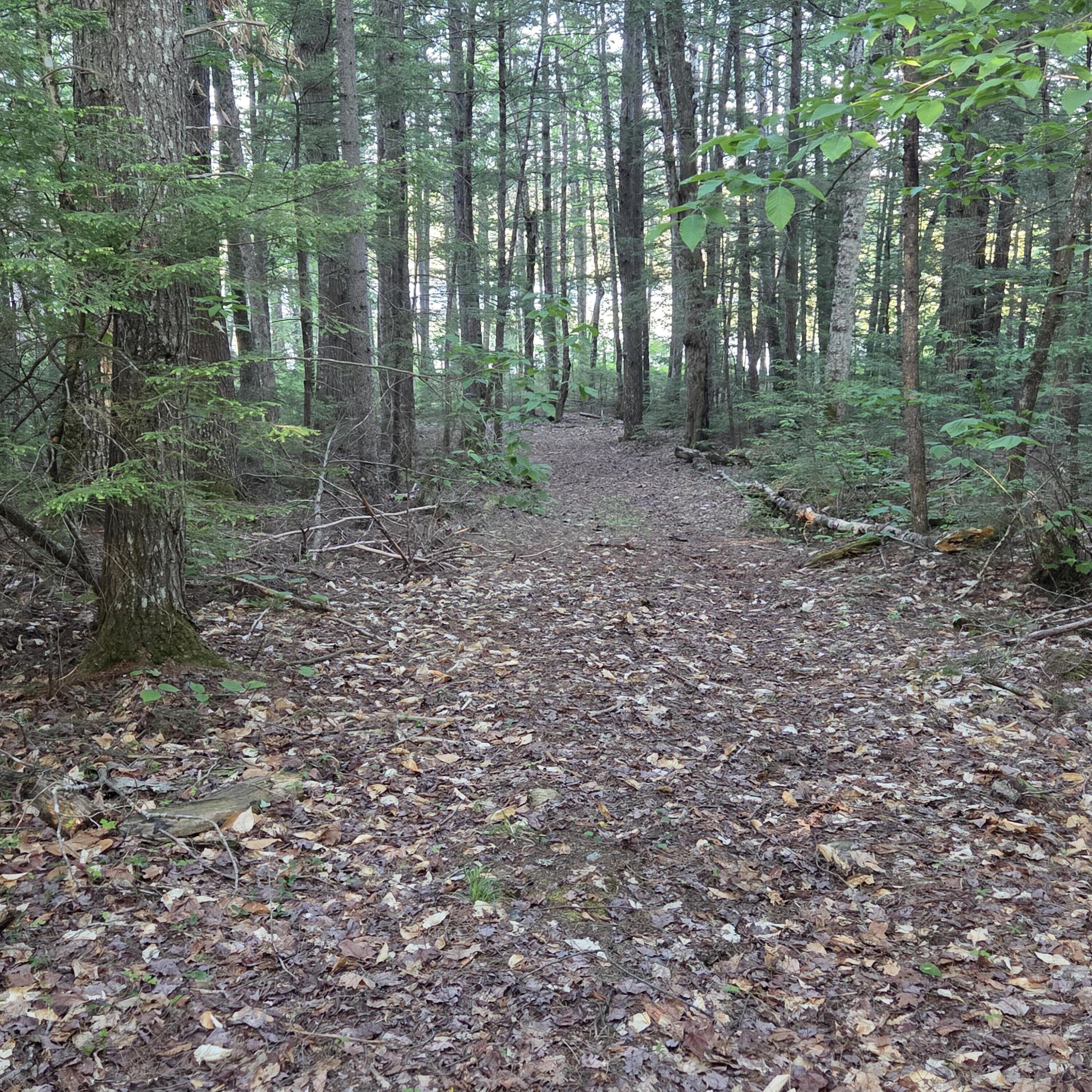 74 Eagle Ridge Road Property Photo 14