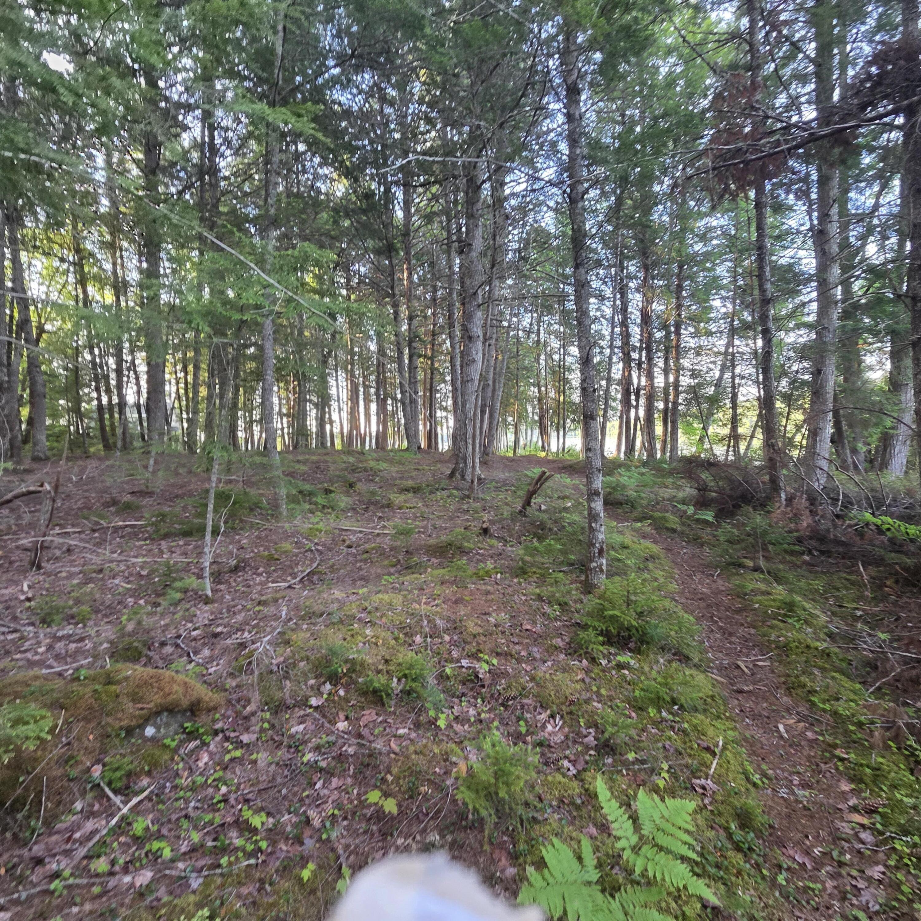 74 Eagle Ridge Road Property Photo 19