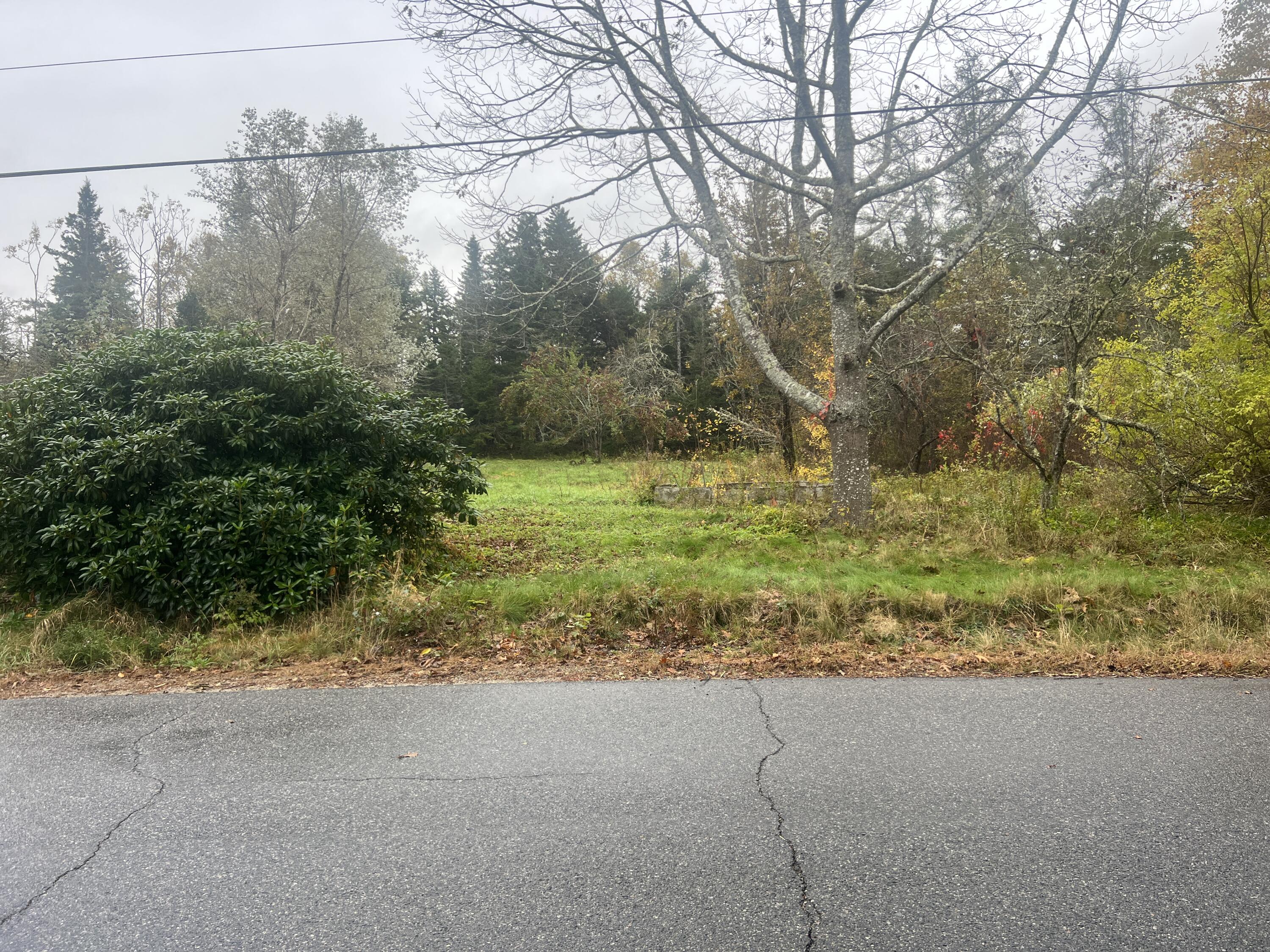 113 Looks Point Road Property Photo 2