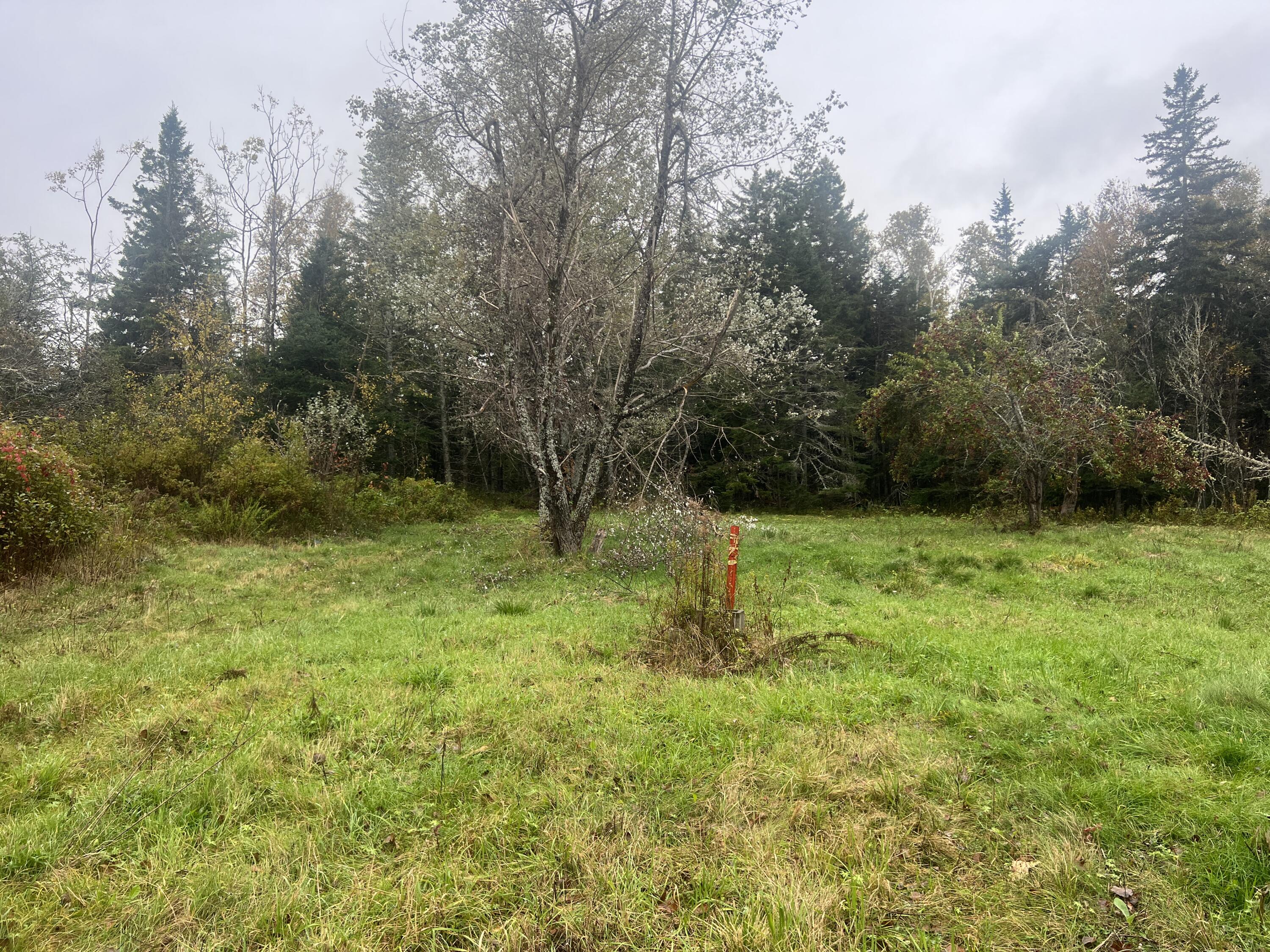 113 Looks Point Road Property Photo 3