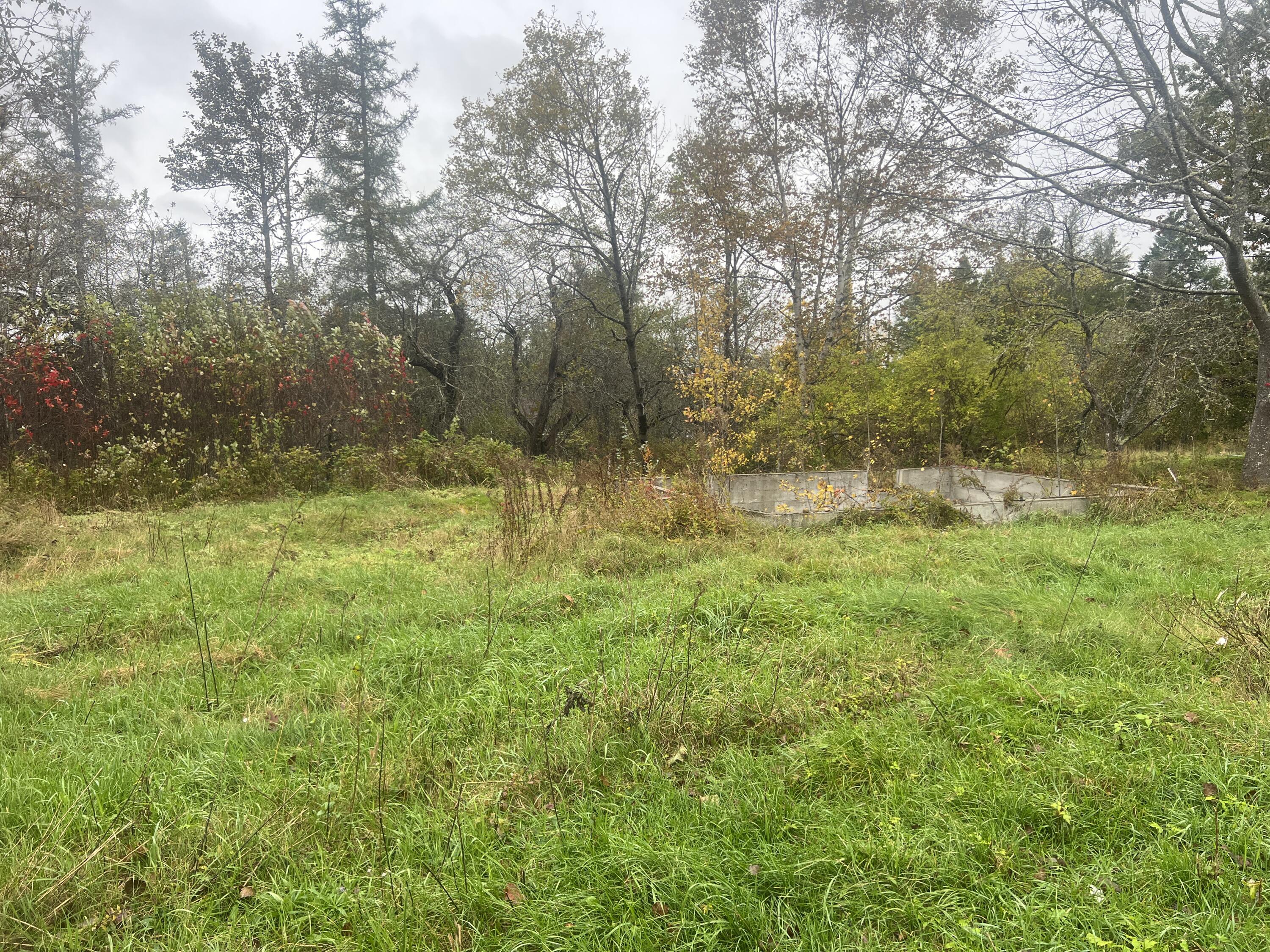 113 Looks Point Road Property Photo 8