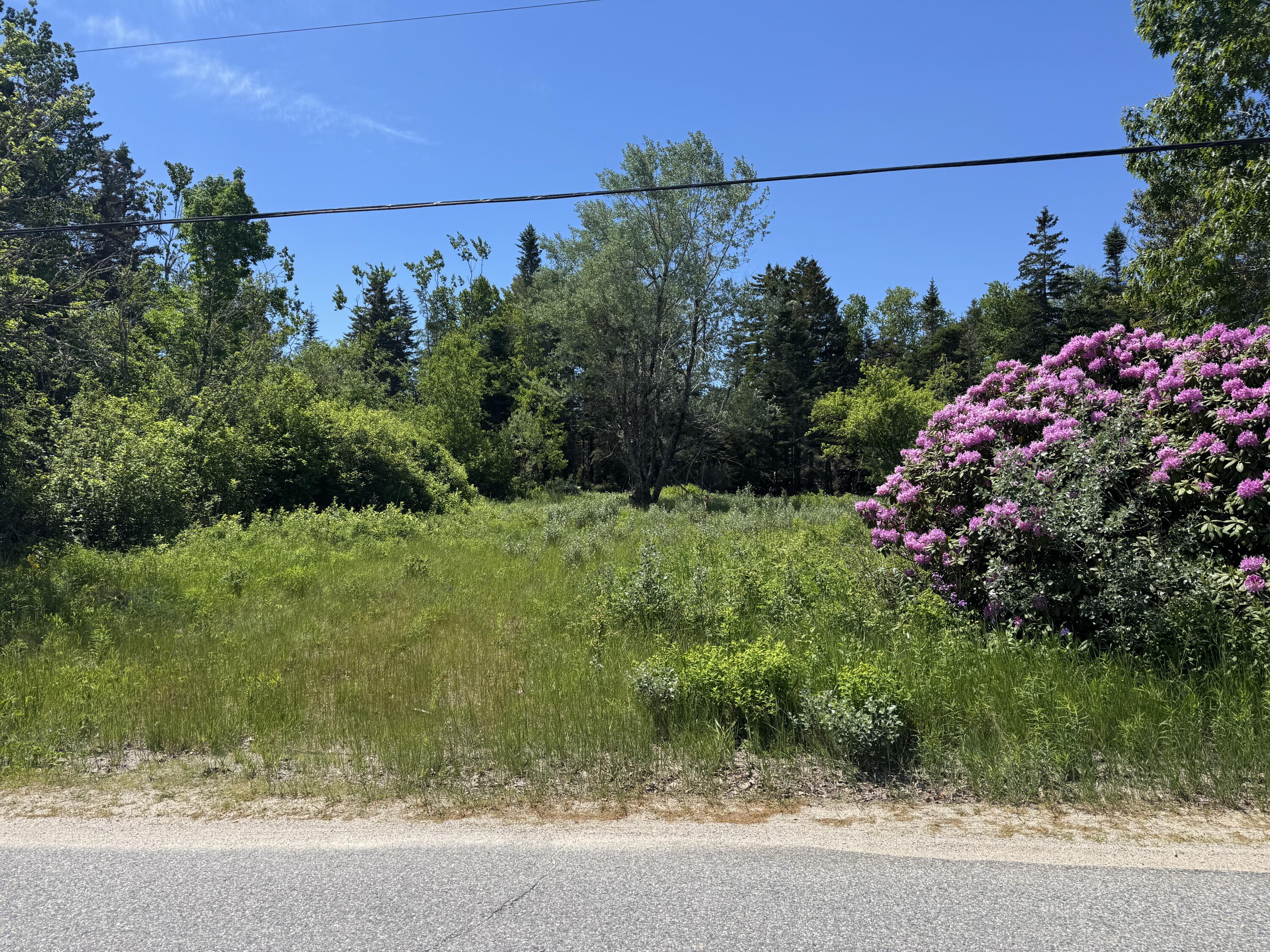113 Looks Point Road Property Photo 10