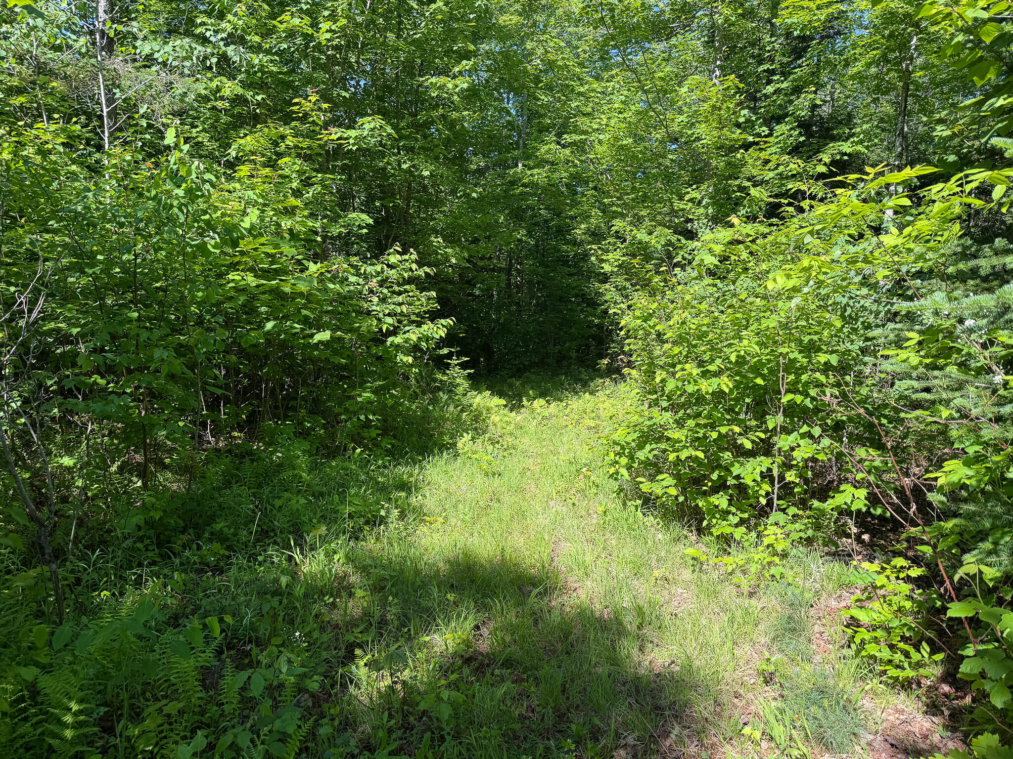 140 E Madrid Road Property Photo 11