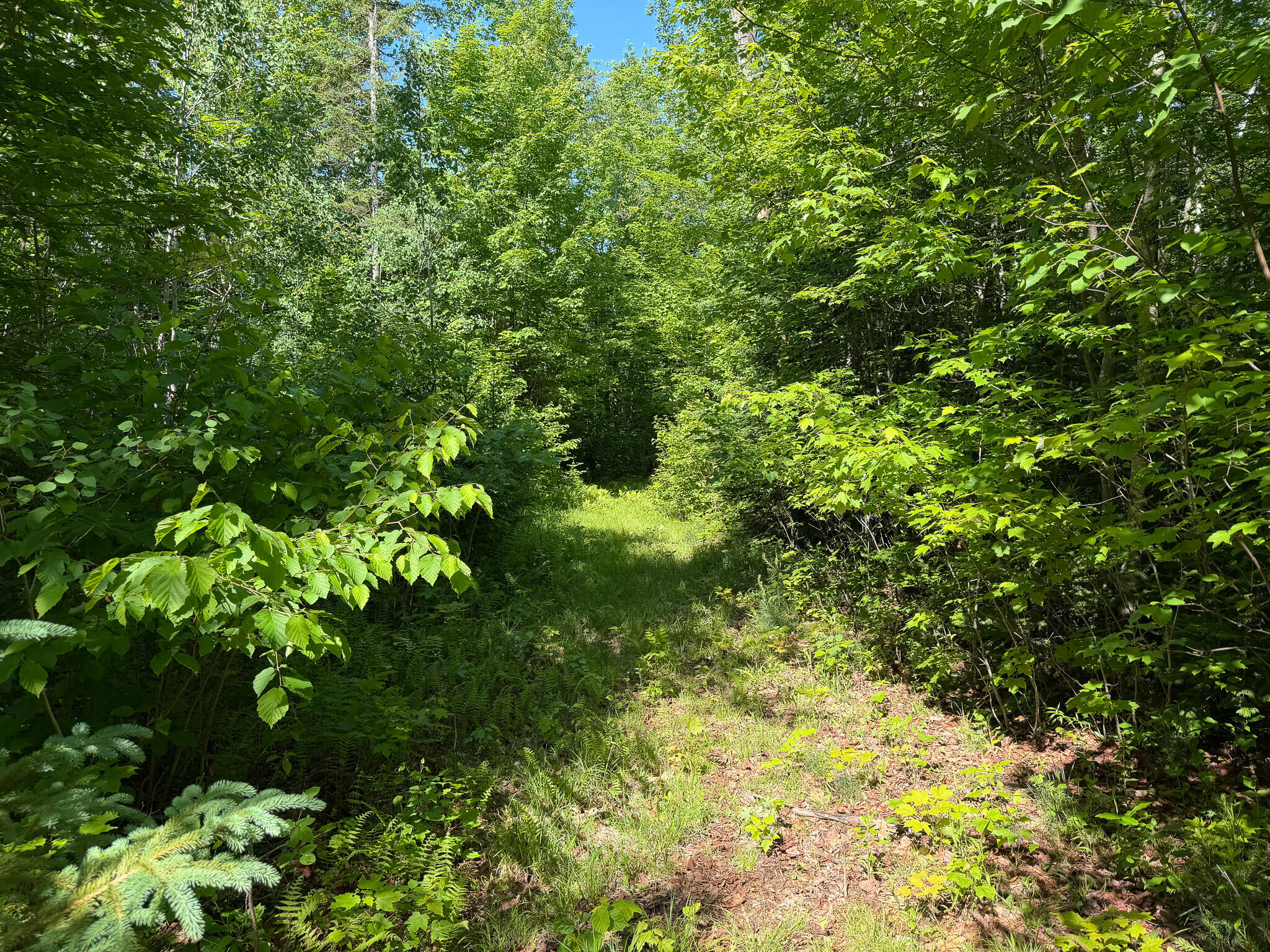 140 E Madrid Road Property Photo 12