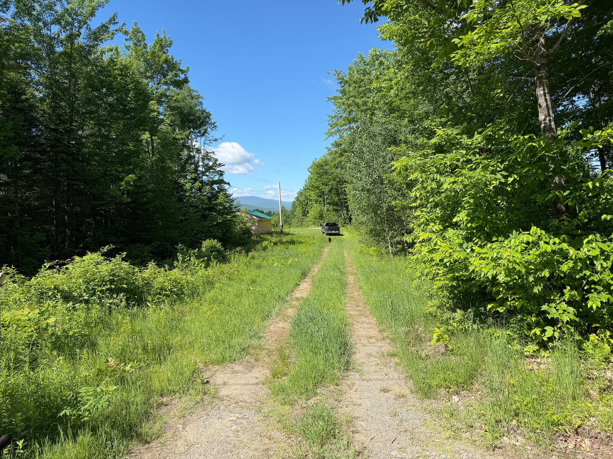 140 E Madrid Road Property Photo 14