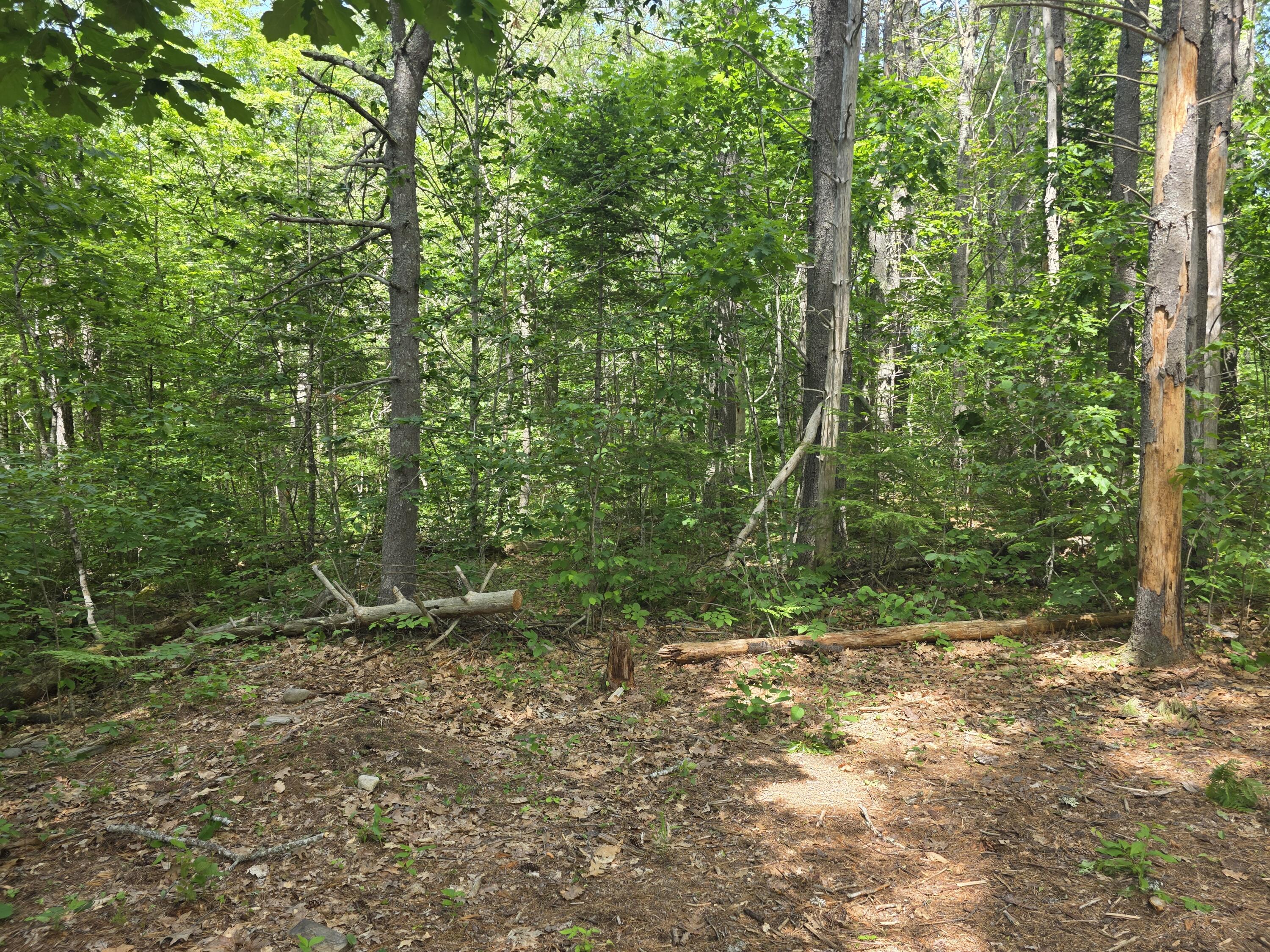 91 Frye Road Property Photo 10