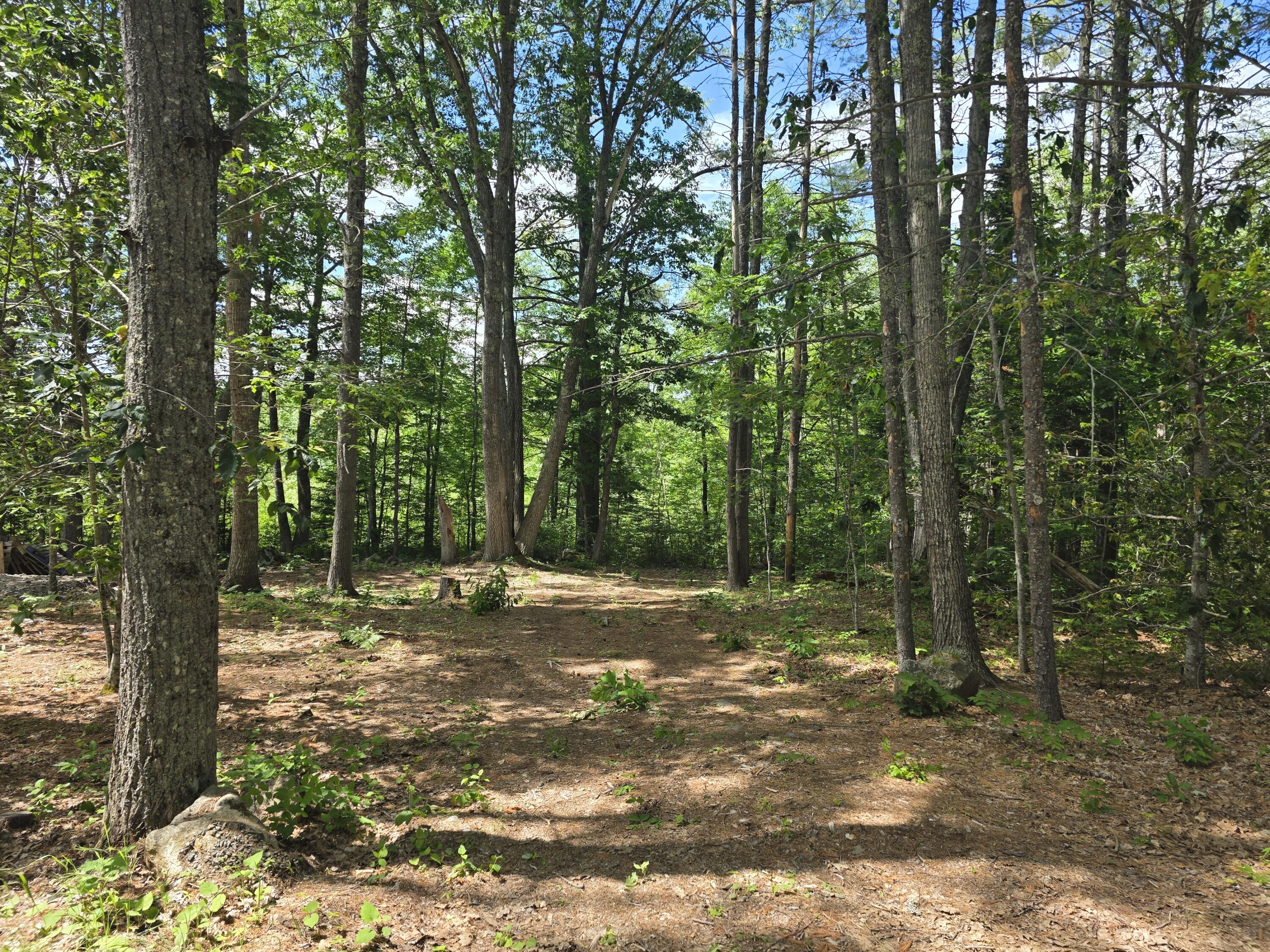 91 Frye Road Property Photo 11