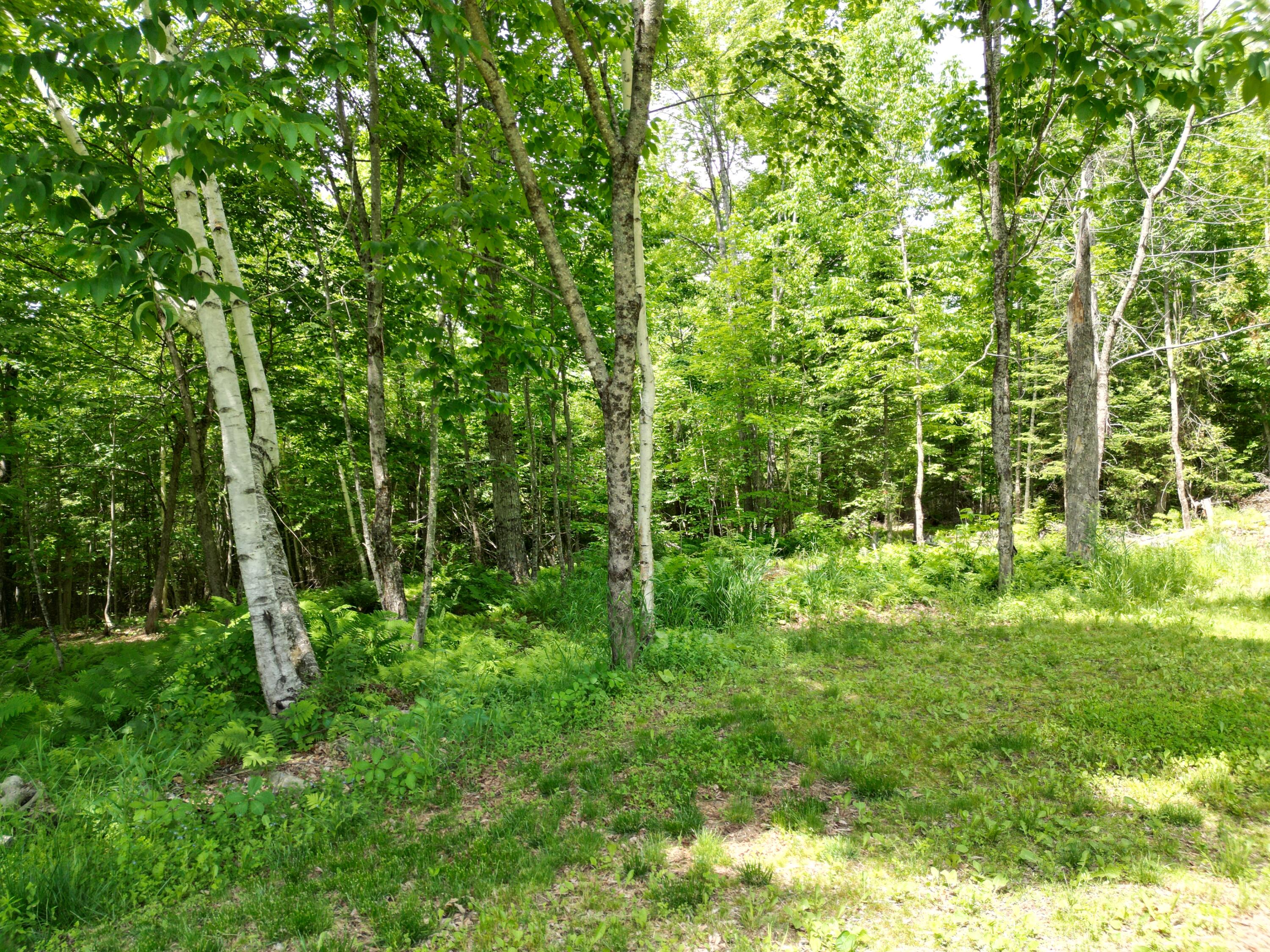 173 North Dixmont Road Property Photo 17