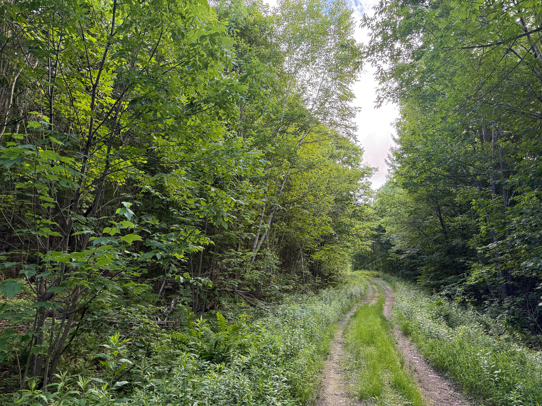 Map 10 Lot 1 Dow Brook Road Property Photo 4