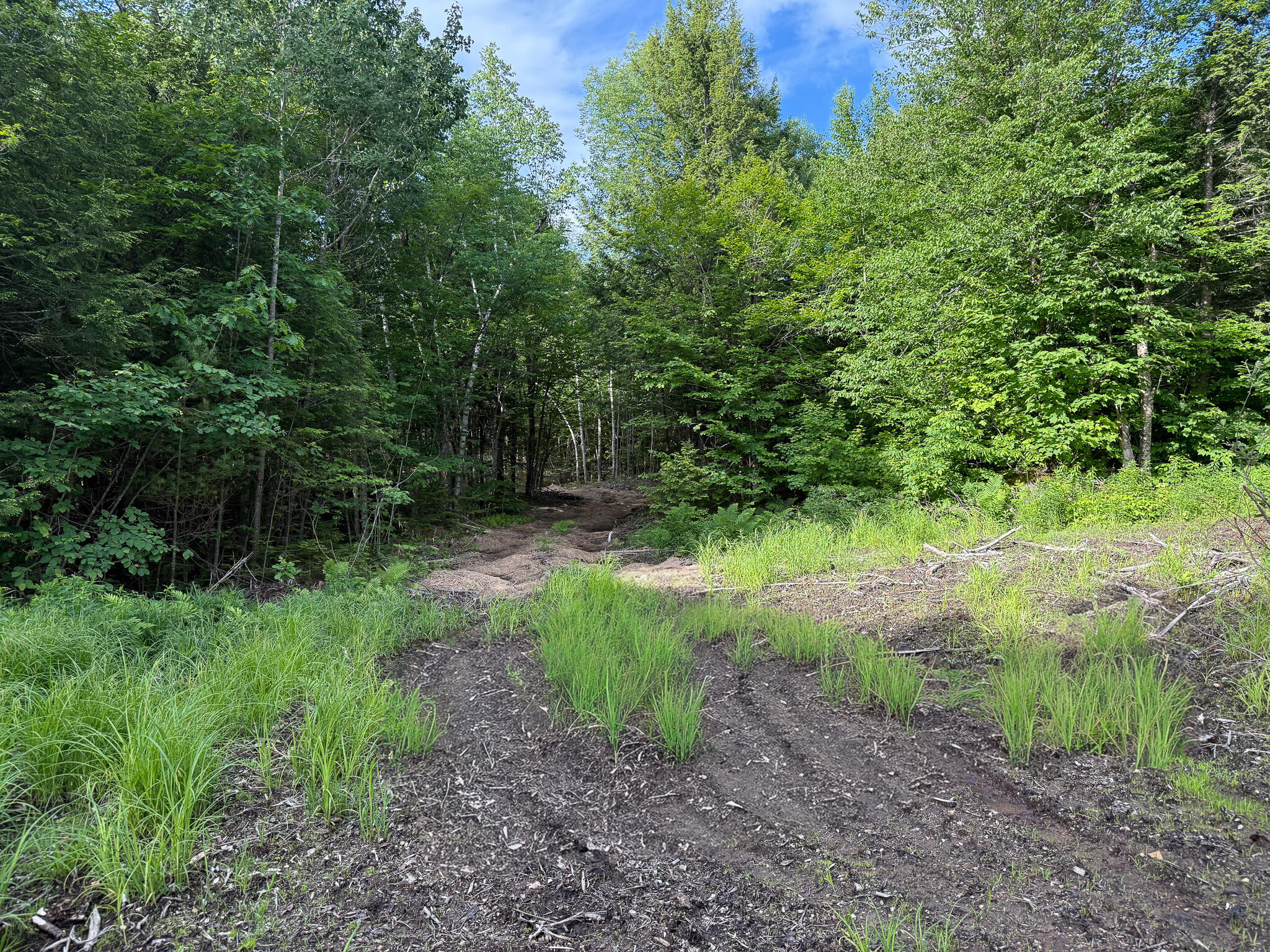 Map 10 Lot 1 Dow Brook Road Property Photo 6