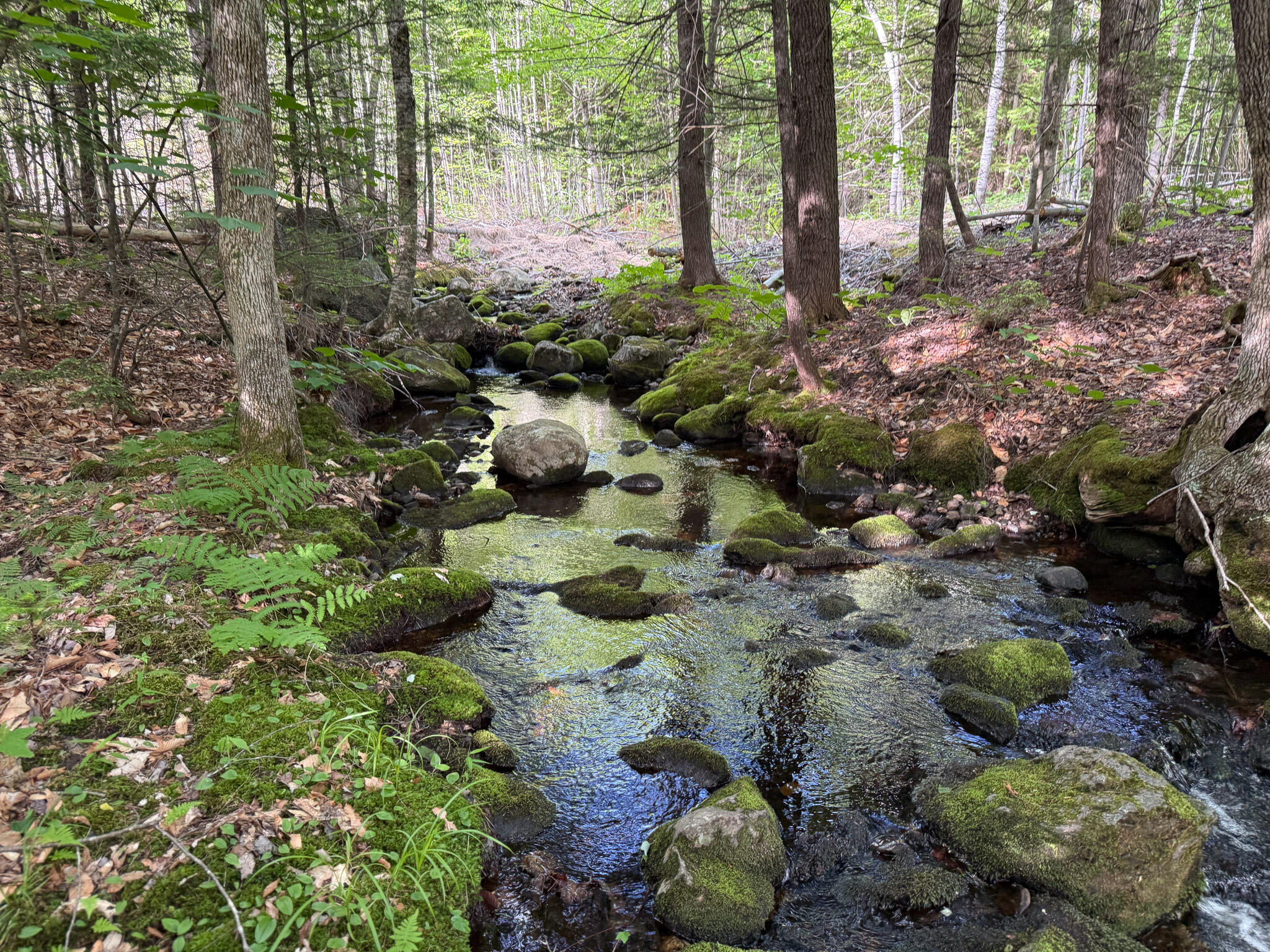 Map 10 Lot 1 Dow Brook Road Property Photo 8