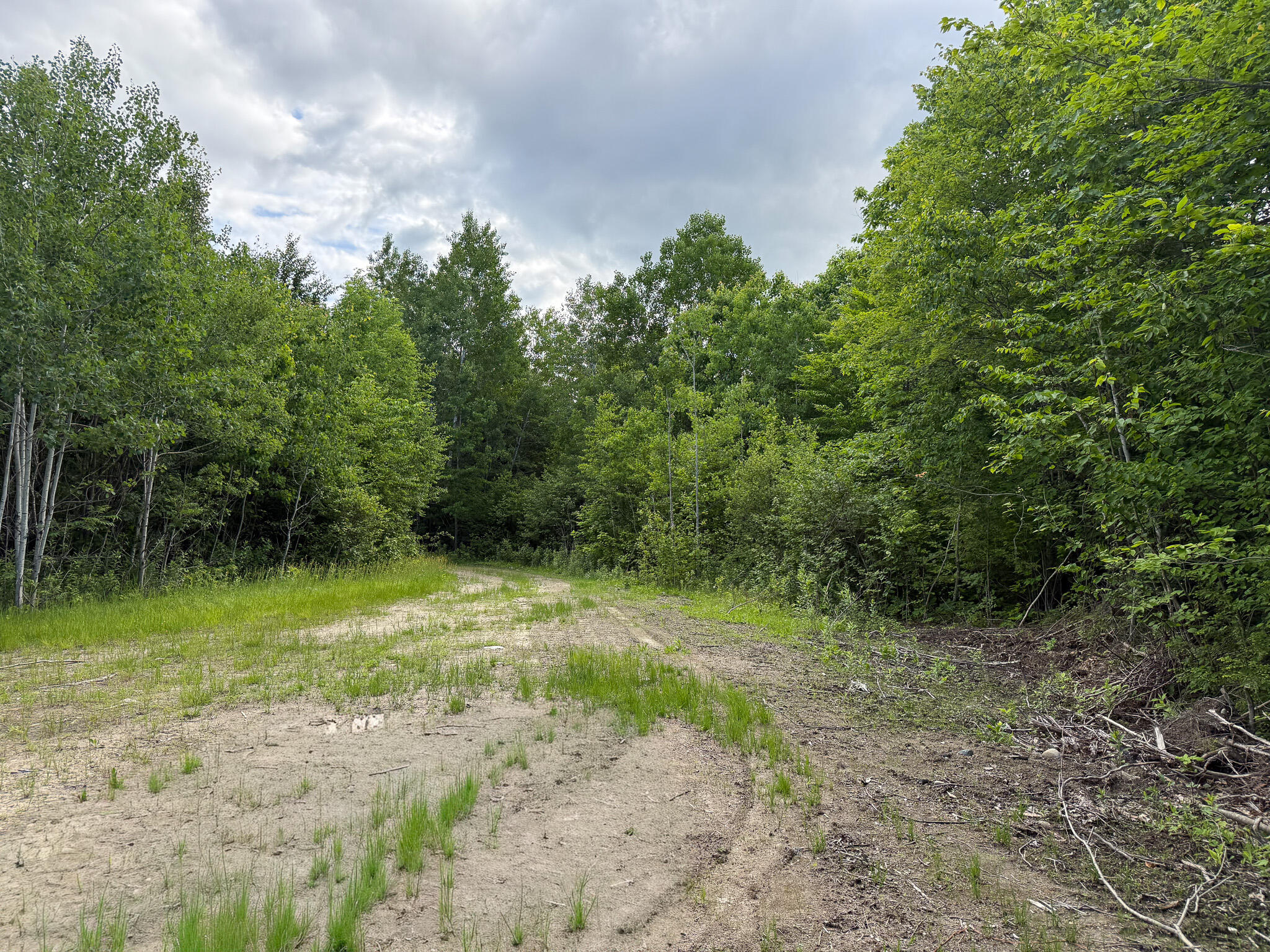 Map 10 Lot 1 Dow Brook Road Property Photo 9