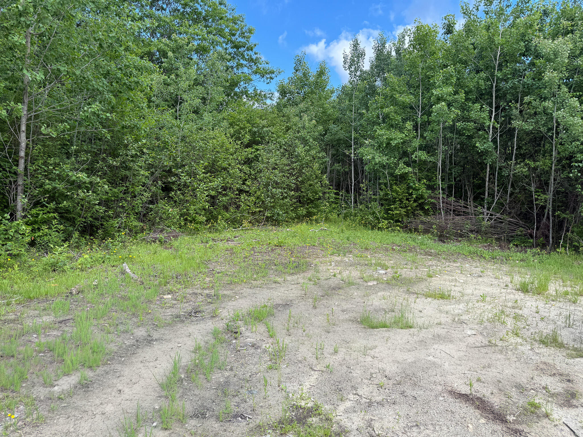 Map 10 Lot 1 Dow Brook Road Property Photo 10
