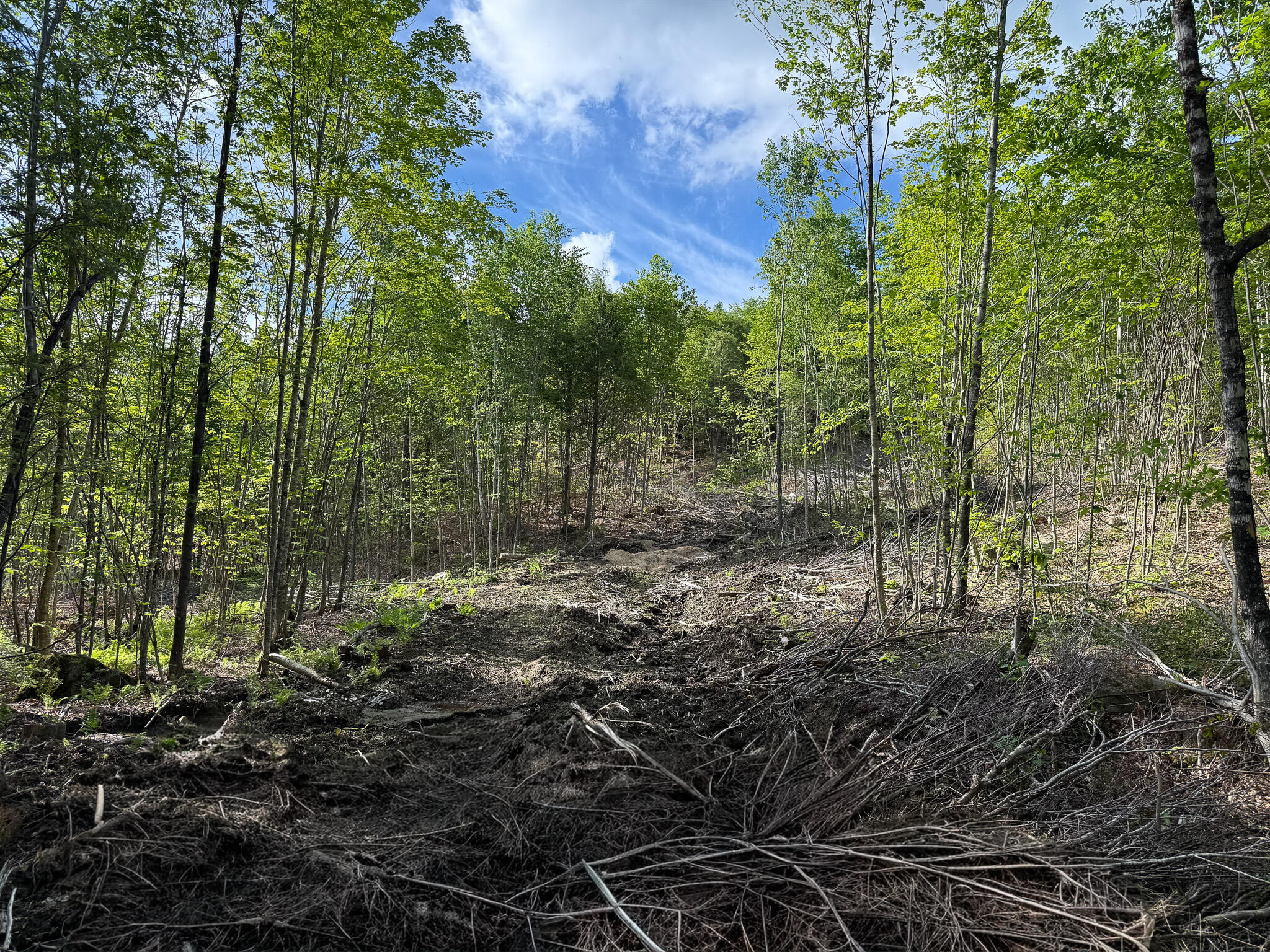Map 10 Lot 1 Dow Brook Road Property Photo 12