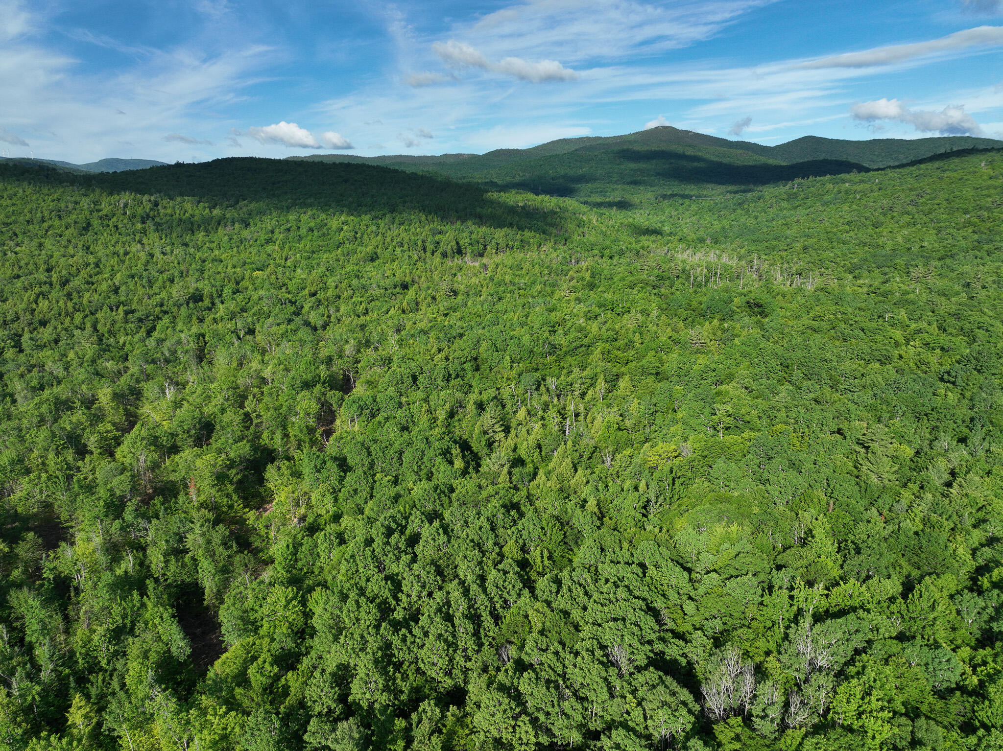 Map 10 Lot 1 Dow Brook Road Property Photo 14