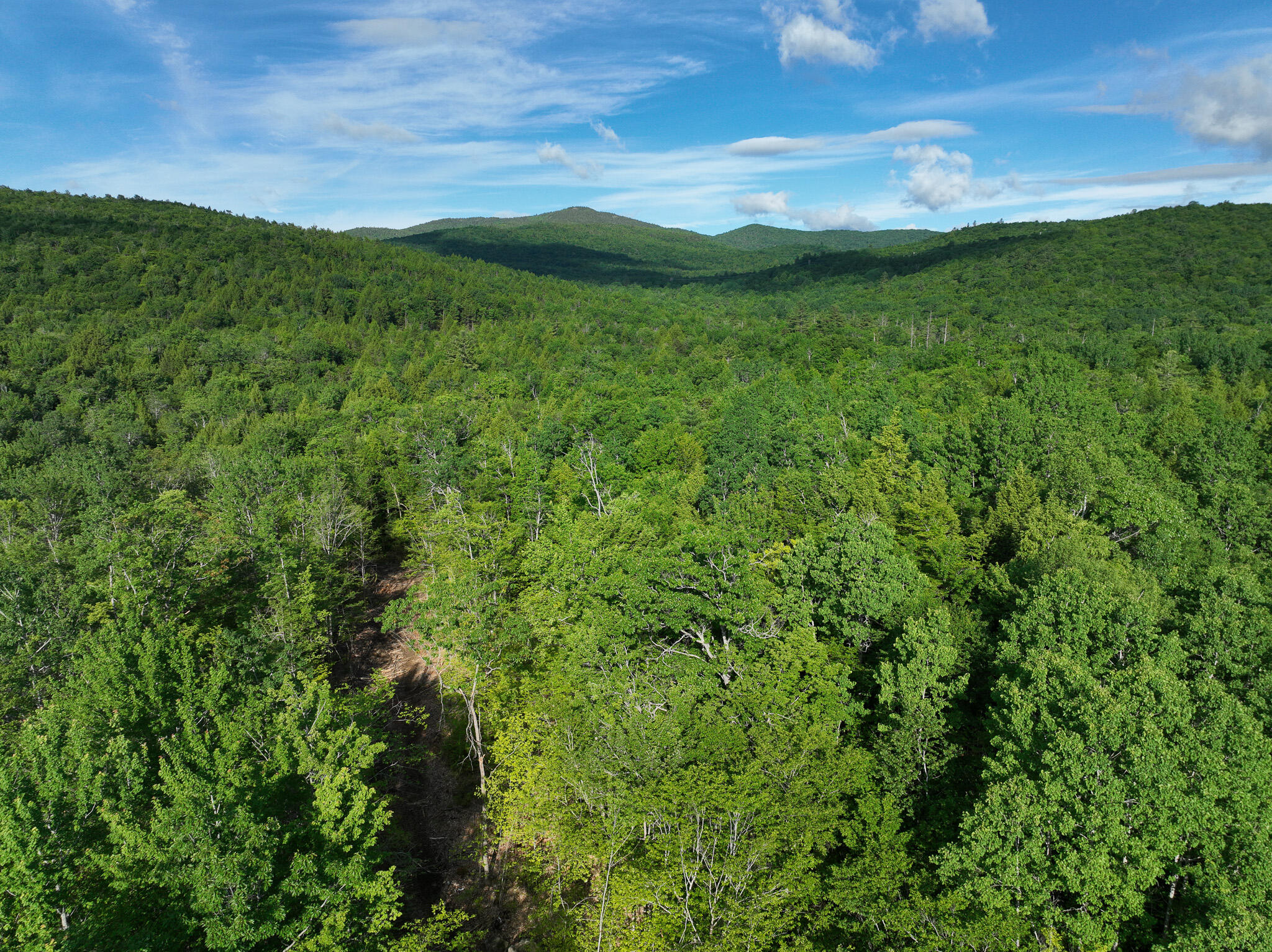 Map 10 Lot 1 Dow Brook Road Property Photo 15