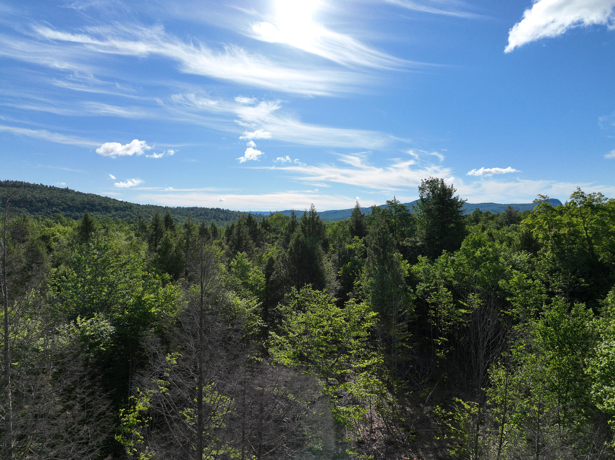 Map 10 Lot 1 Dow Brook Road Property Photo 16