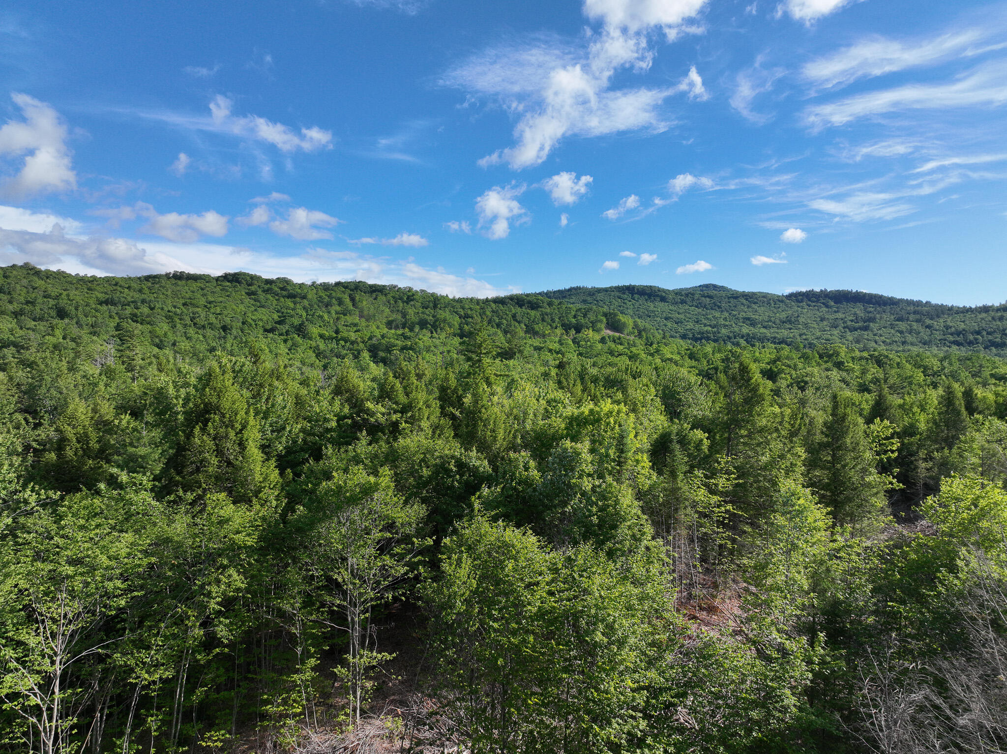 Map 10 Lot 1 Dow Brook Road Property Photo 17