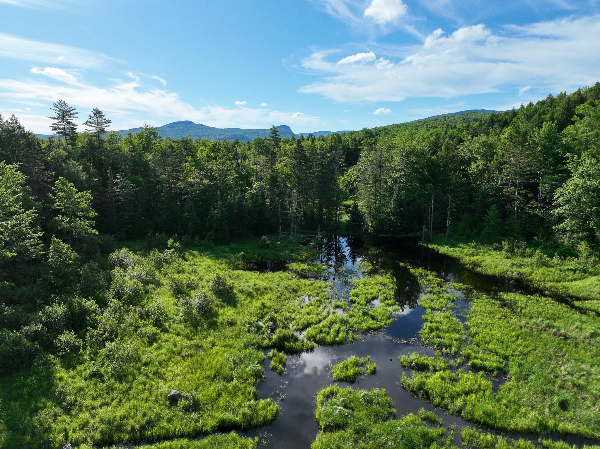 Map 10 Lot 1 Dow Brook Road Property Photo 18