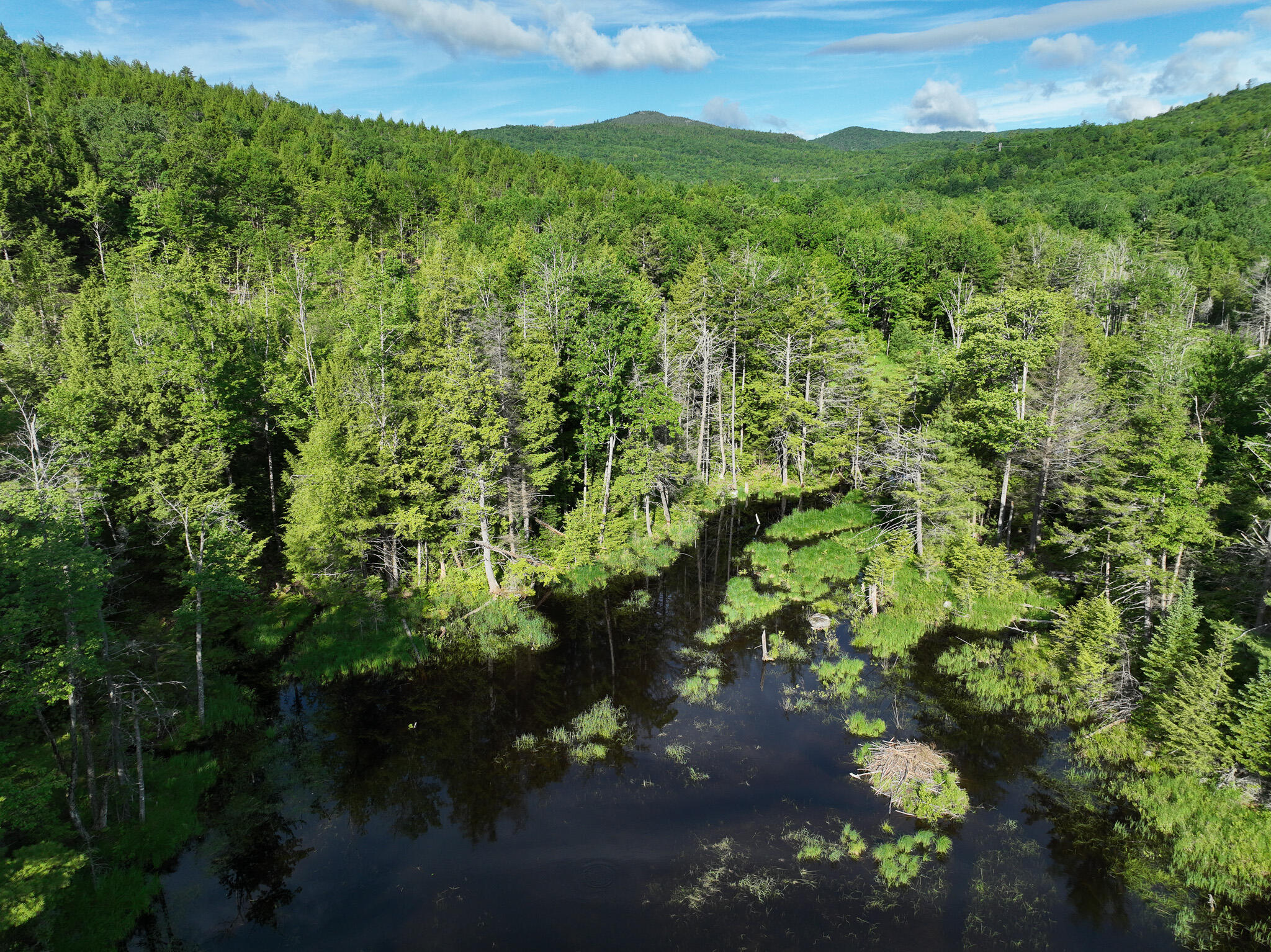 Map 10 Lot 1 Dow Brook Road Property Photo 19