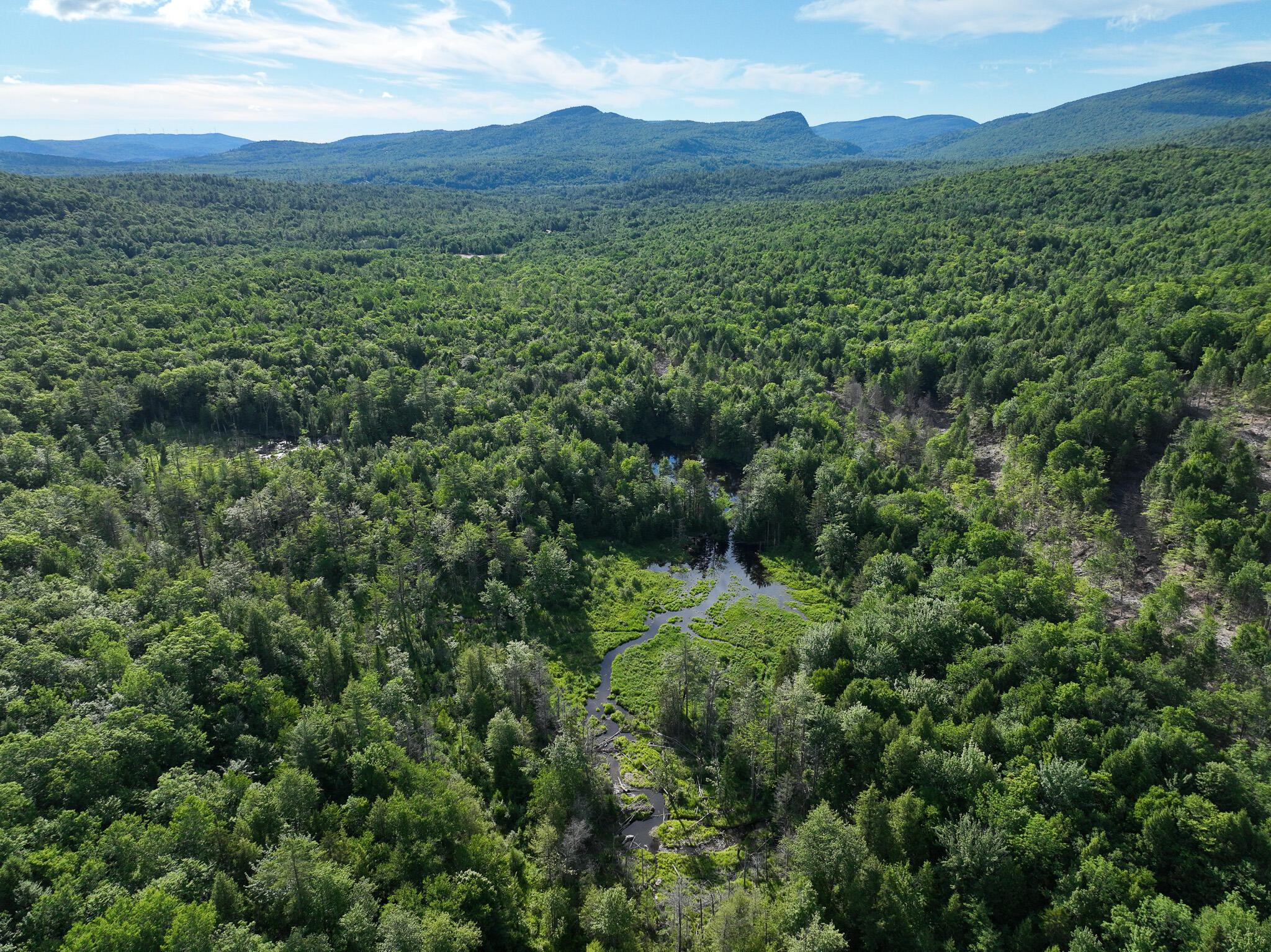 Map 10 Lot 1 Dow Brook Road Property Photo 20
