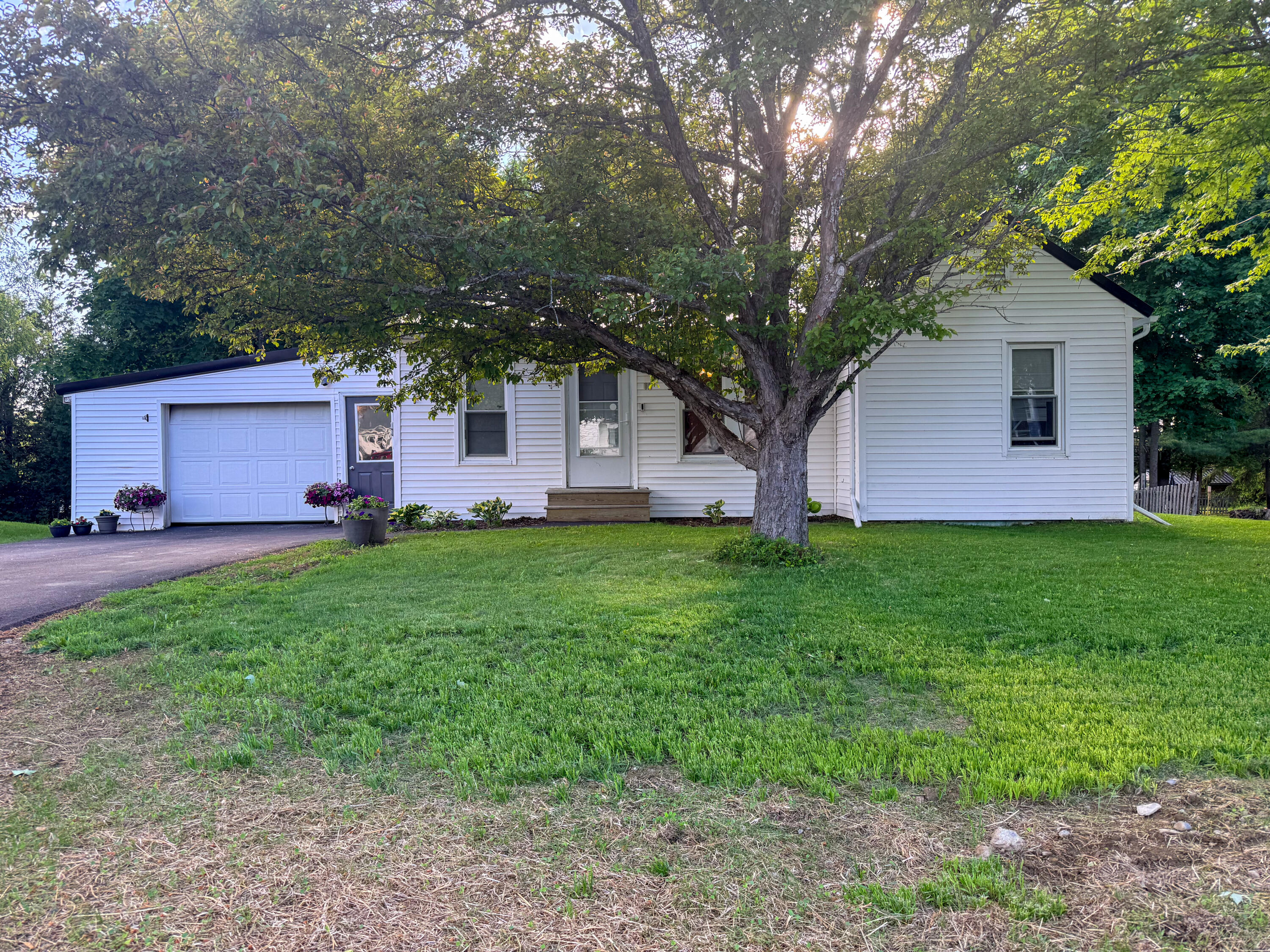 12 Winchester Street Property Photo 2