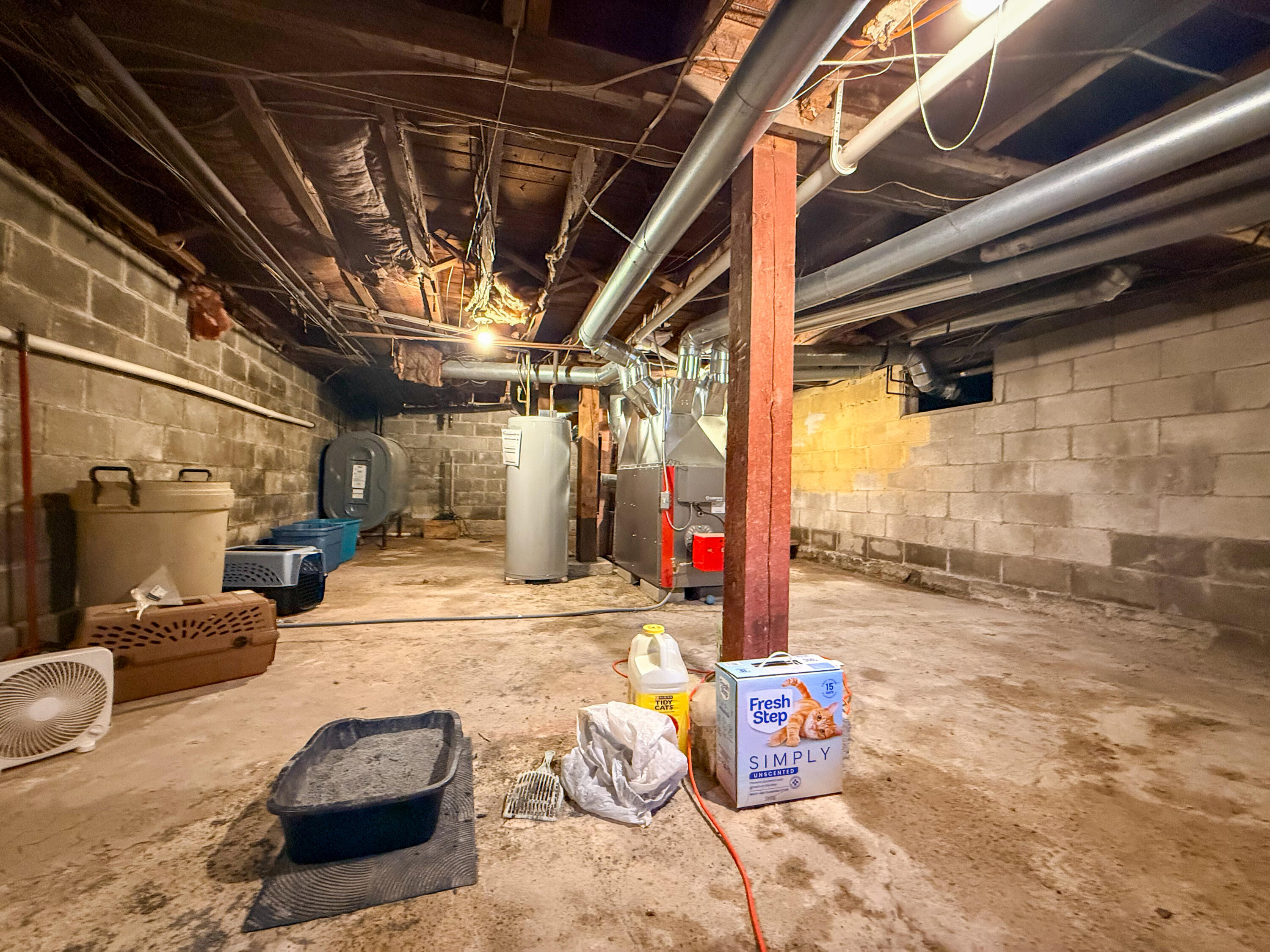 12 Winchester Street Property Photo 29