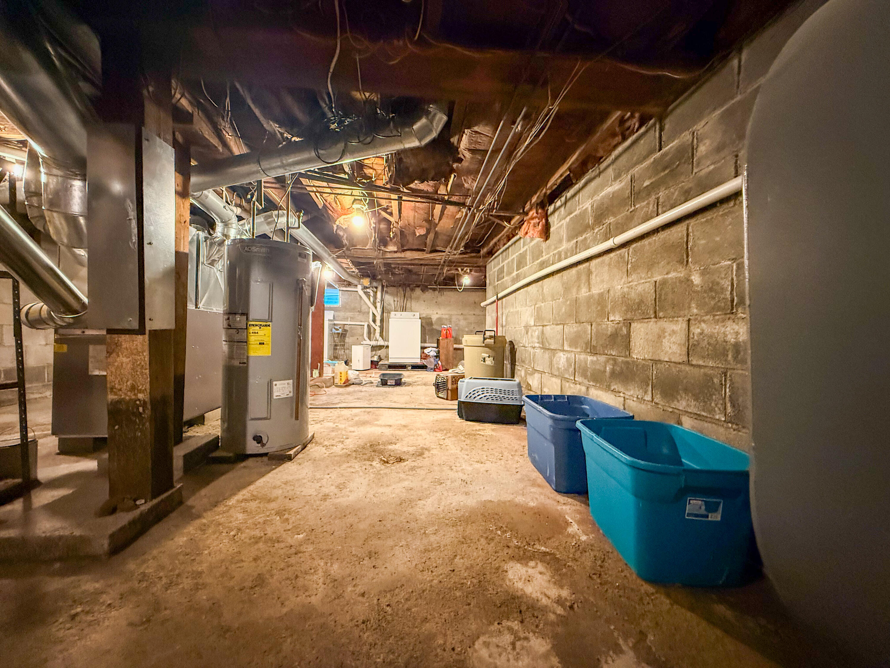12 Winchester Street Property Photo 31
